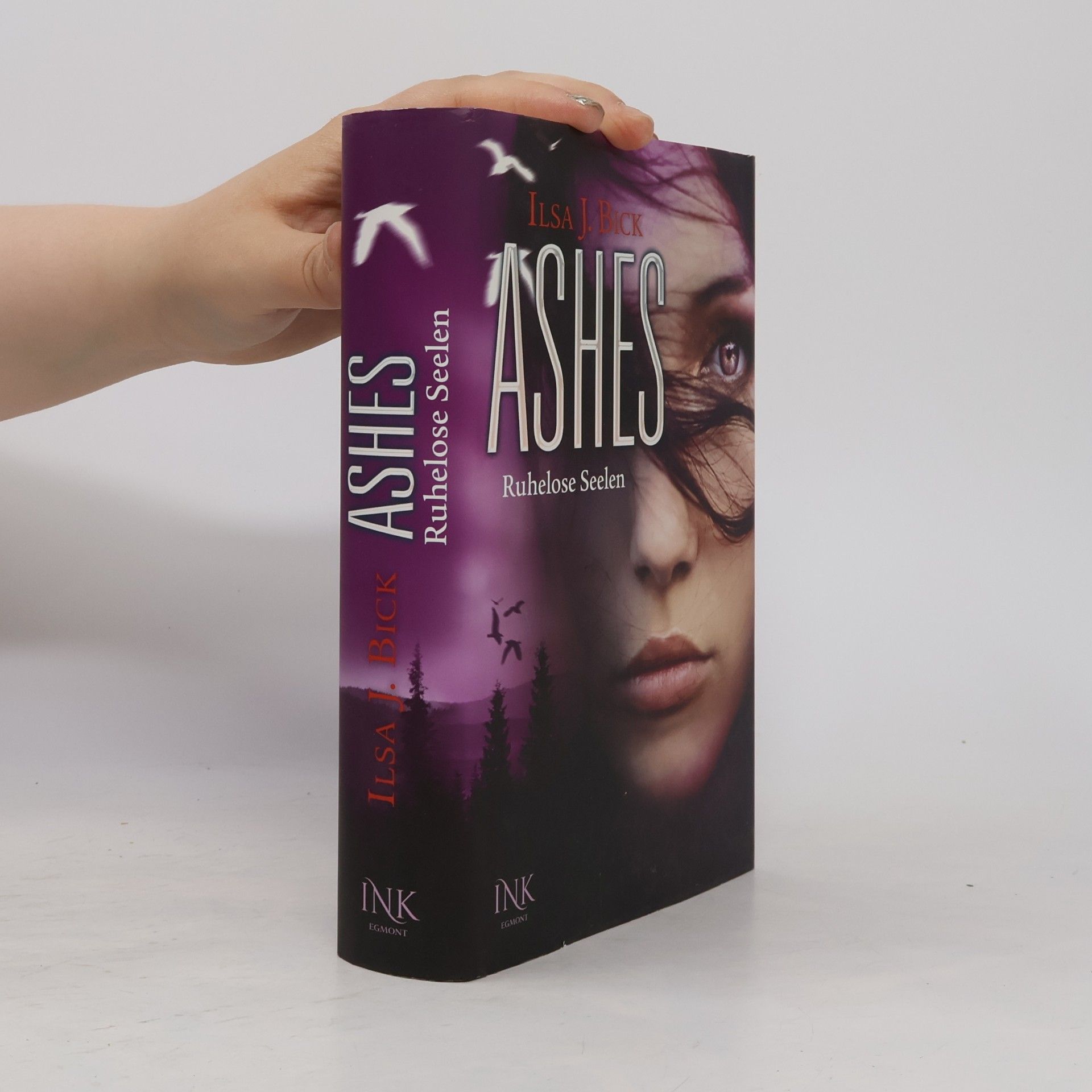 Ilsa J. Bick Ashes - Ruhelose Seelen