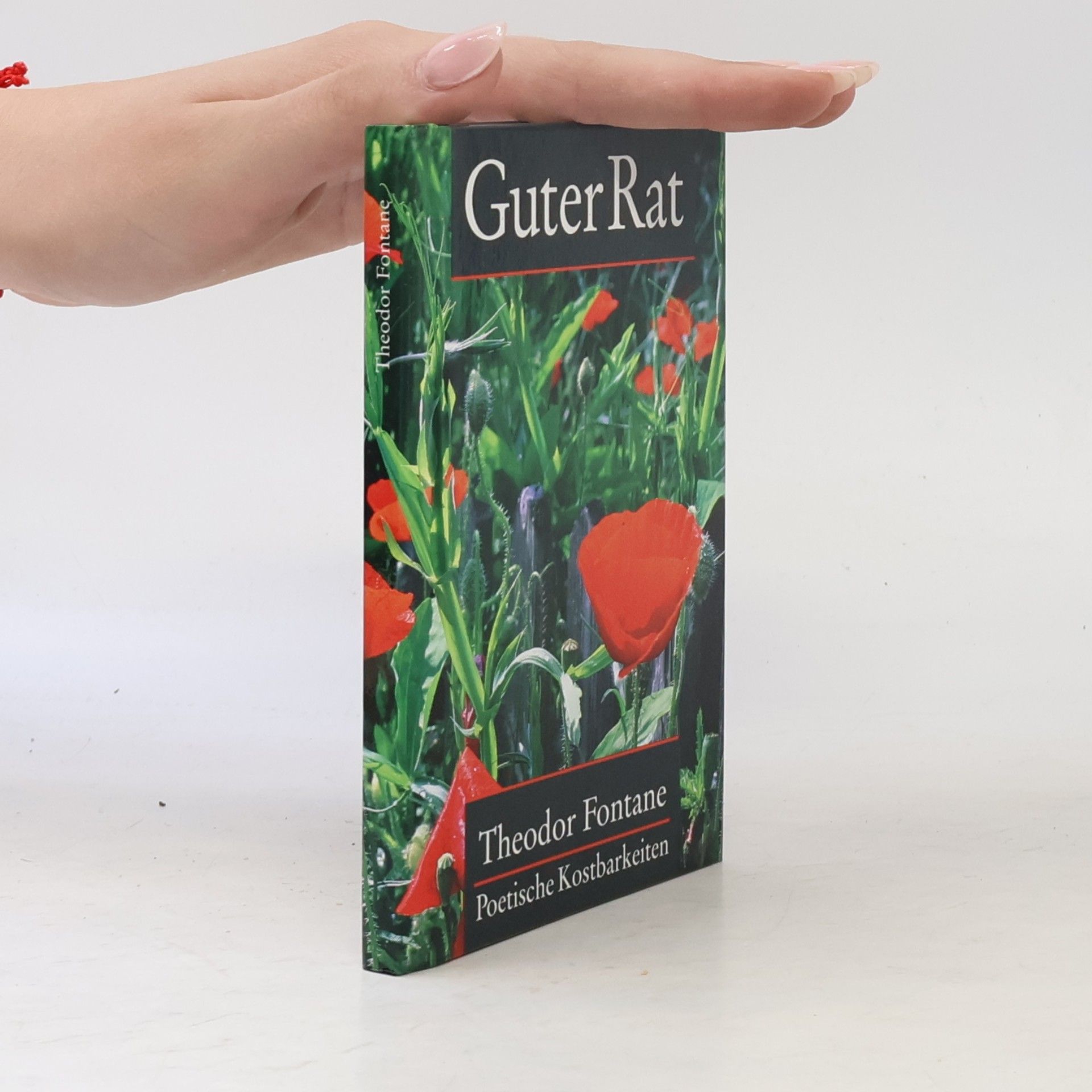 Theodor Fontane Guter Rat