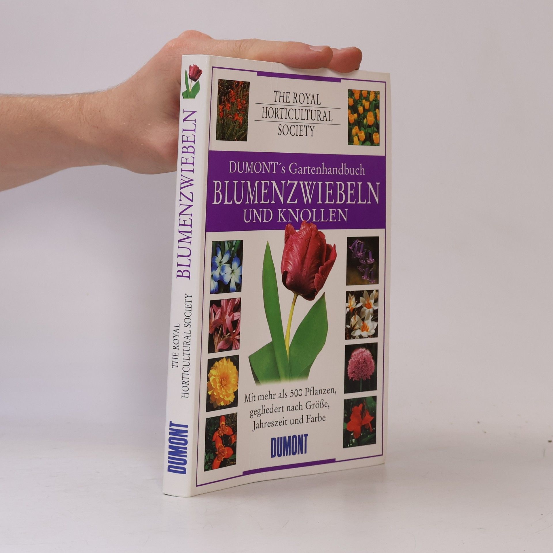 Susanne Vogel Blumenzwiebeln und Knollen