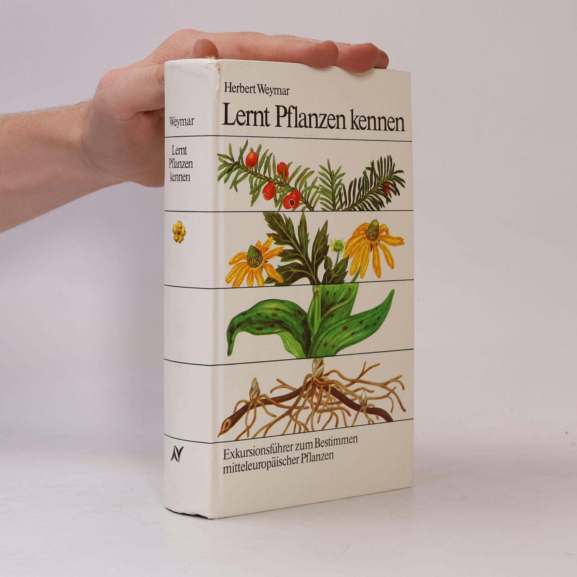 Herbert Weyma Lernt Pflanzen kennen