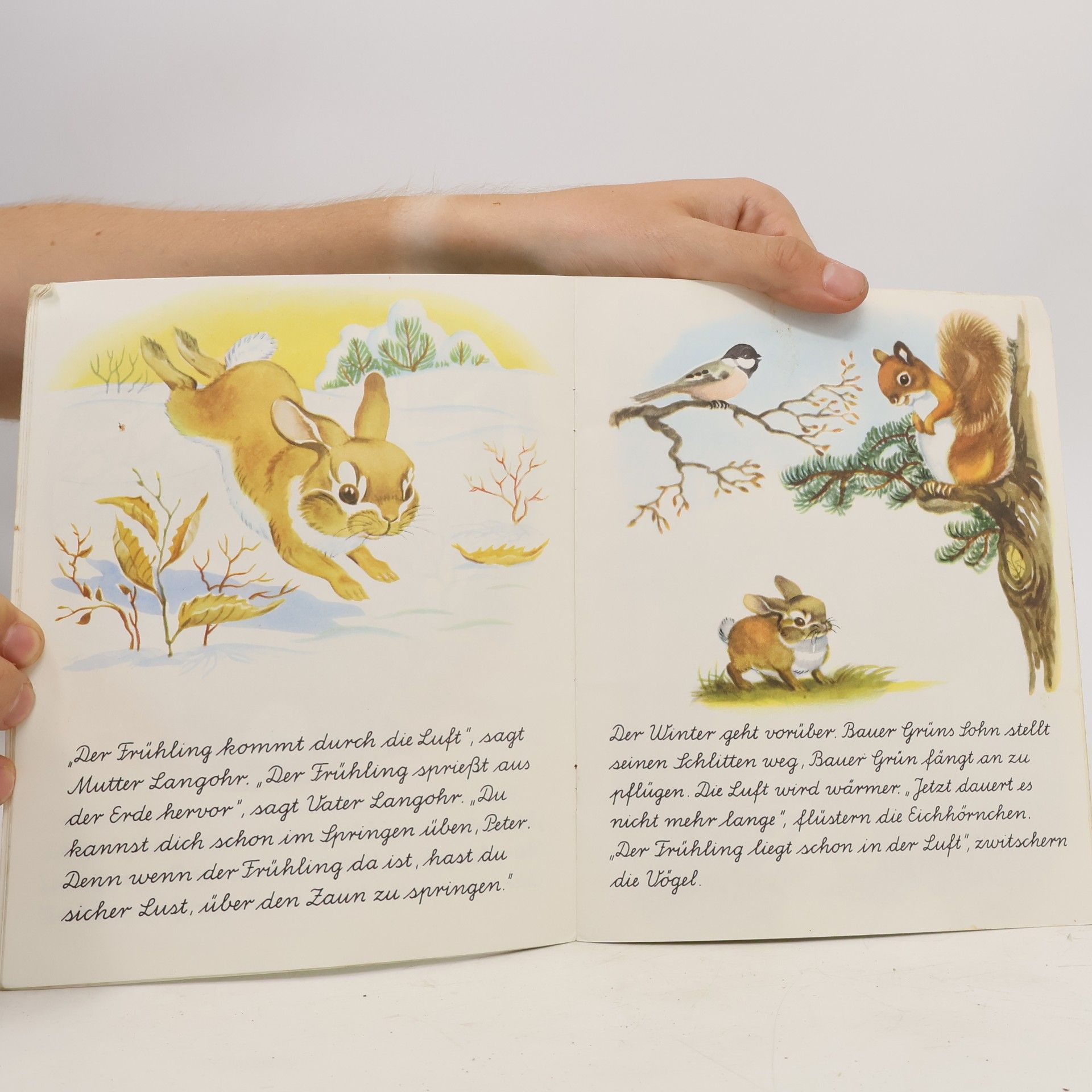 Jean Fritz Ein Wunder Buch - 17: Peter Langohrs erster Frühling