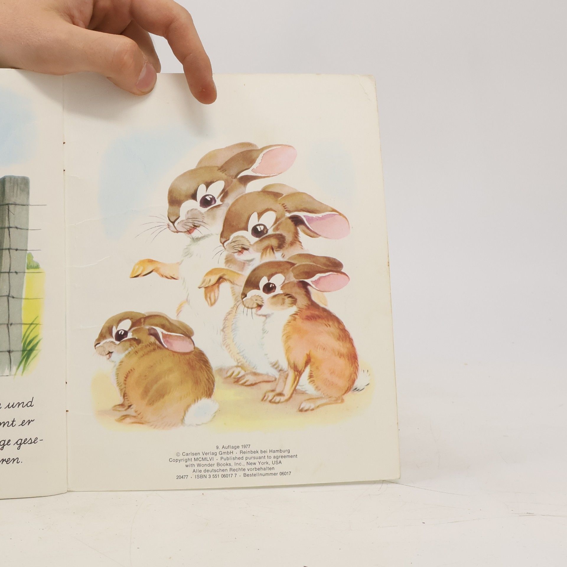 Jean Fritz Ein Wunder Buch - 17: Peter Langohrs erster Frühling