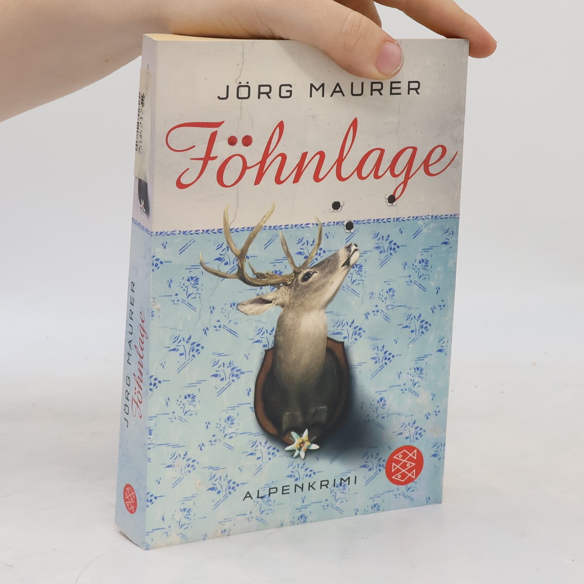Jörg Maurer Föhnlage