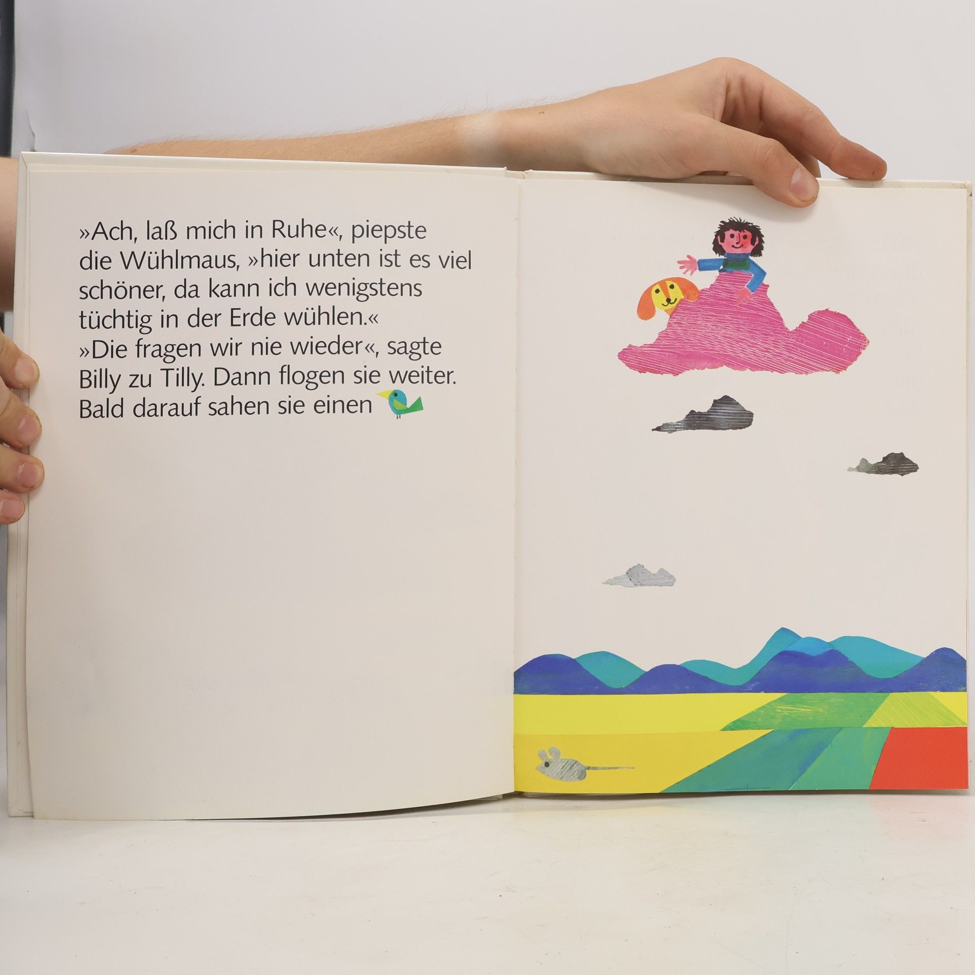 Jürgen Wulff Billy, Tilly und die rosa Wolke