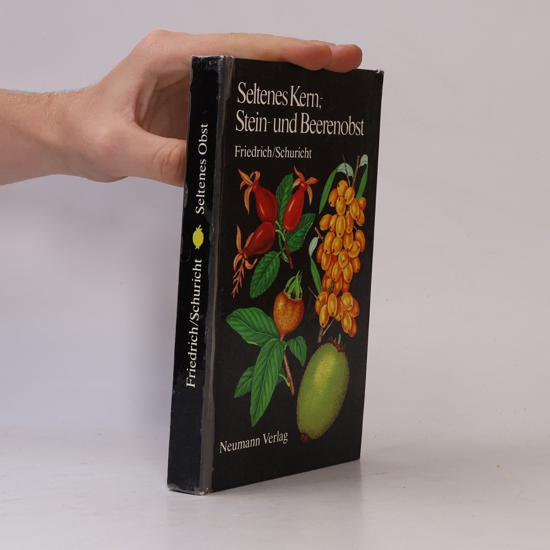 Werner Schuricht Seltenes Kern,-Stein- und Beerenobst