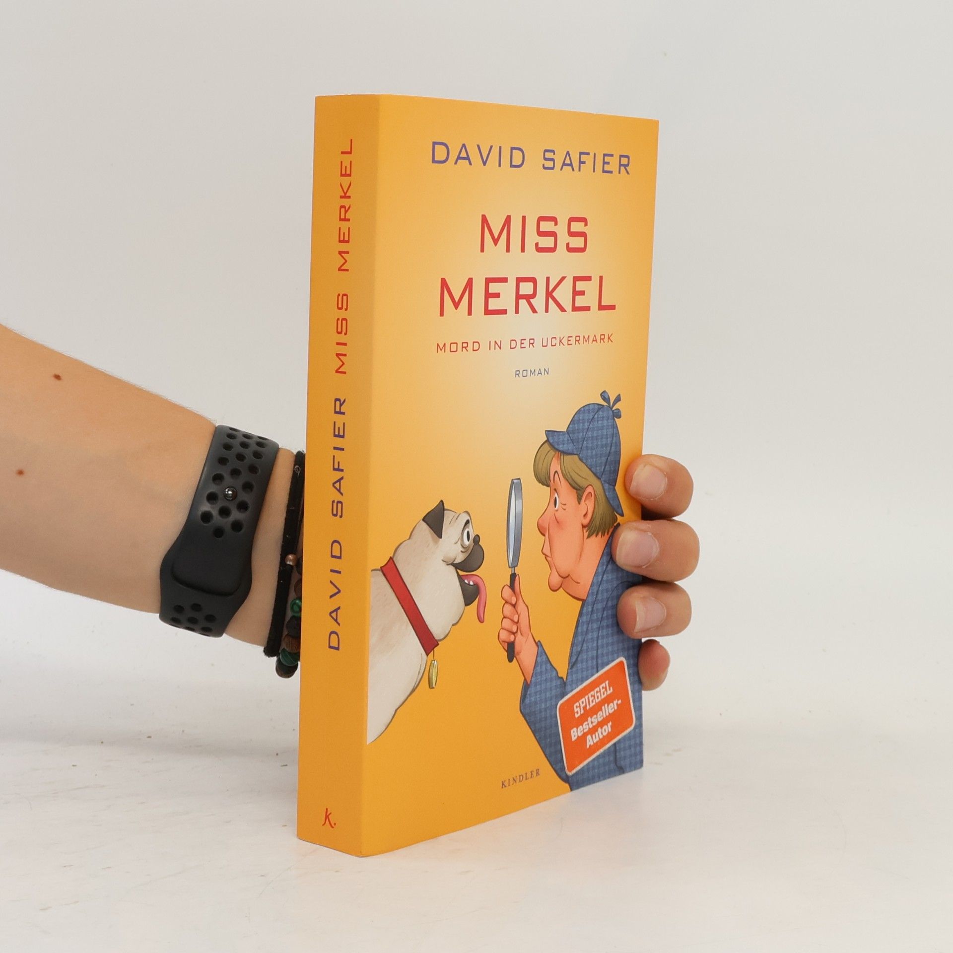 David Safier Miss Merkel