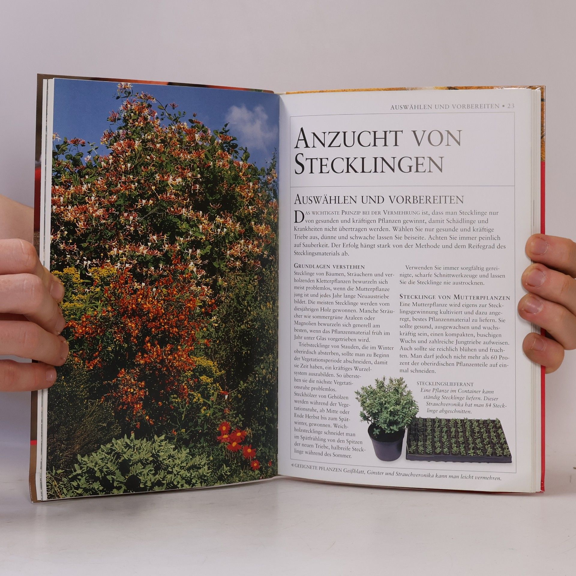 Alan R. Toogood Pflanzen vermehren