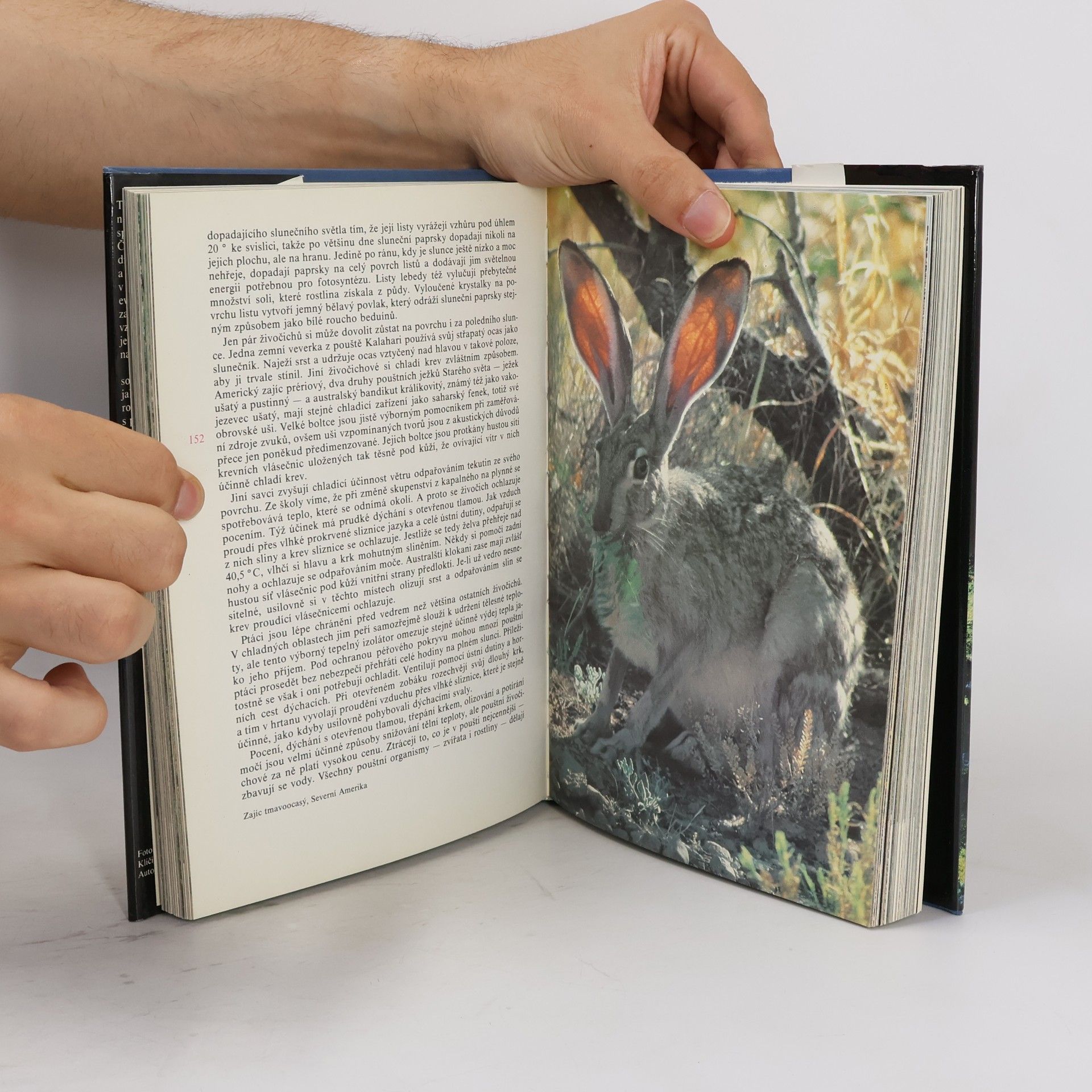 David Attenborough Planeta žije