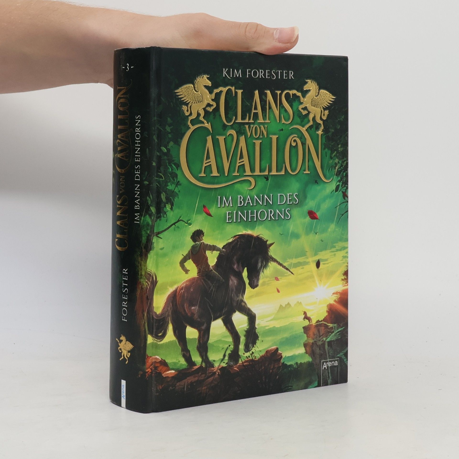 Clans von Cavallon 3