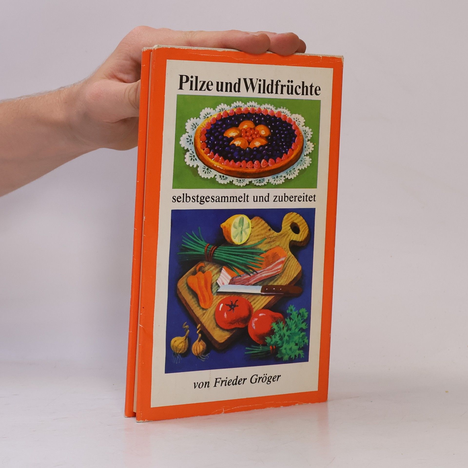 Frieder Gröger Pilze und Wildfrüchte