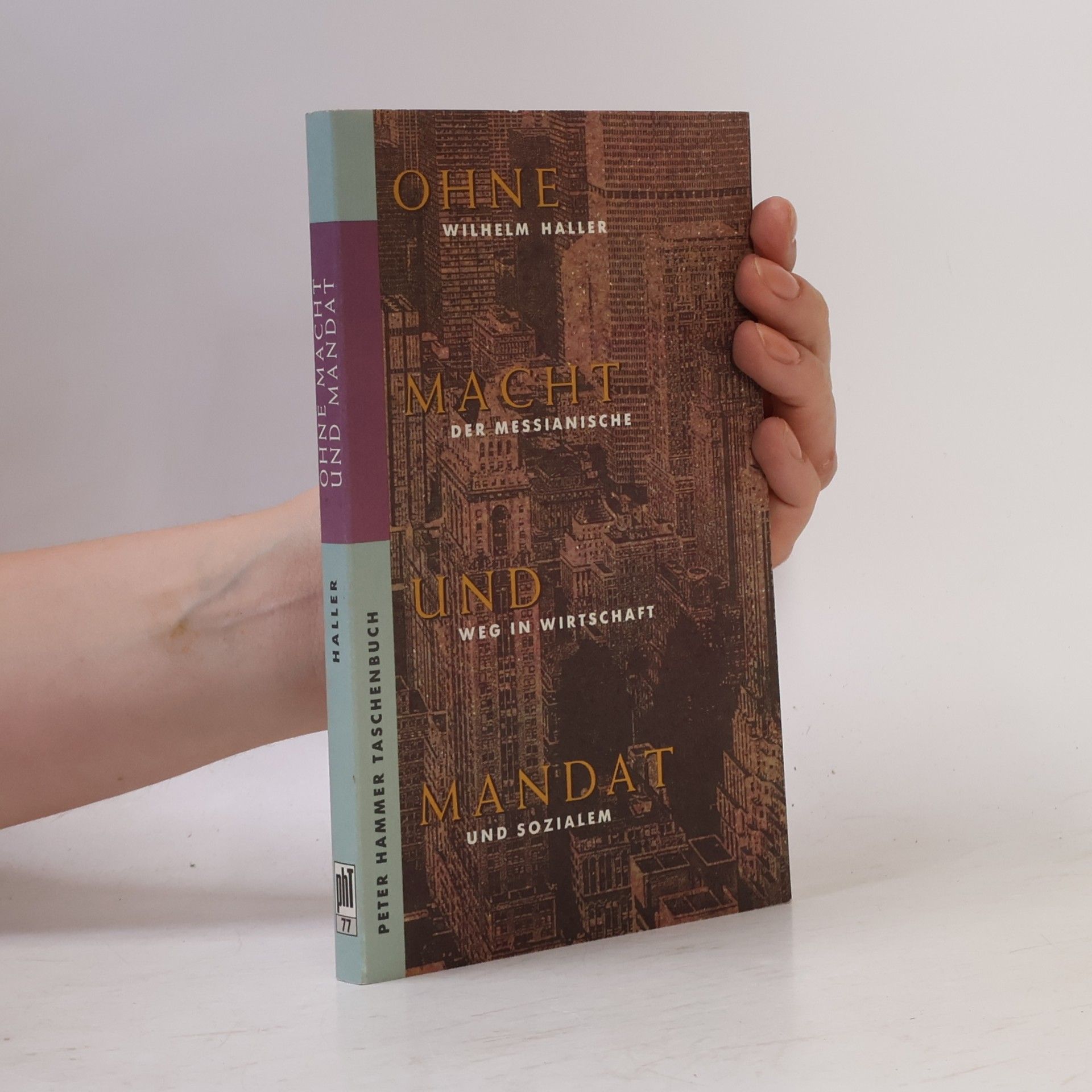 Wilhelm Haller Ohne Macht und Mandat