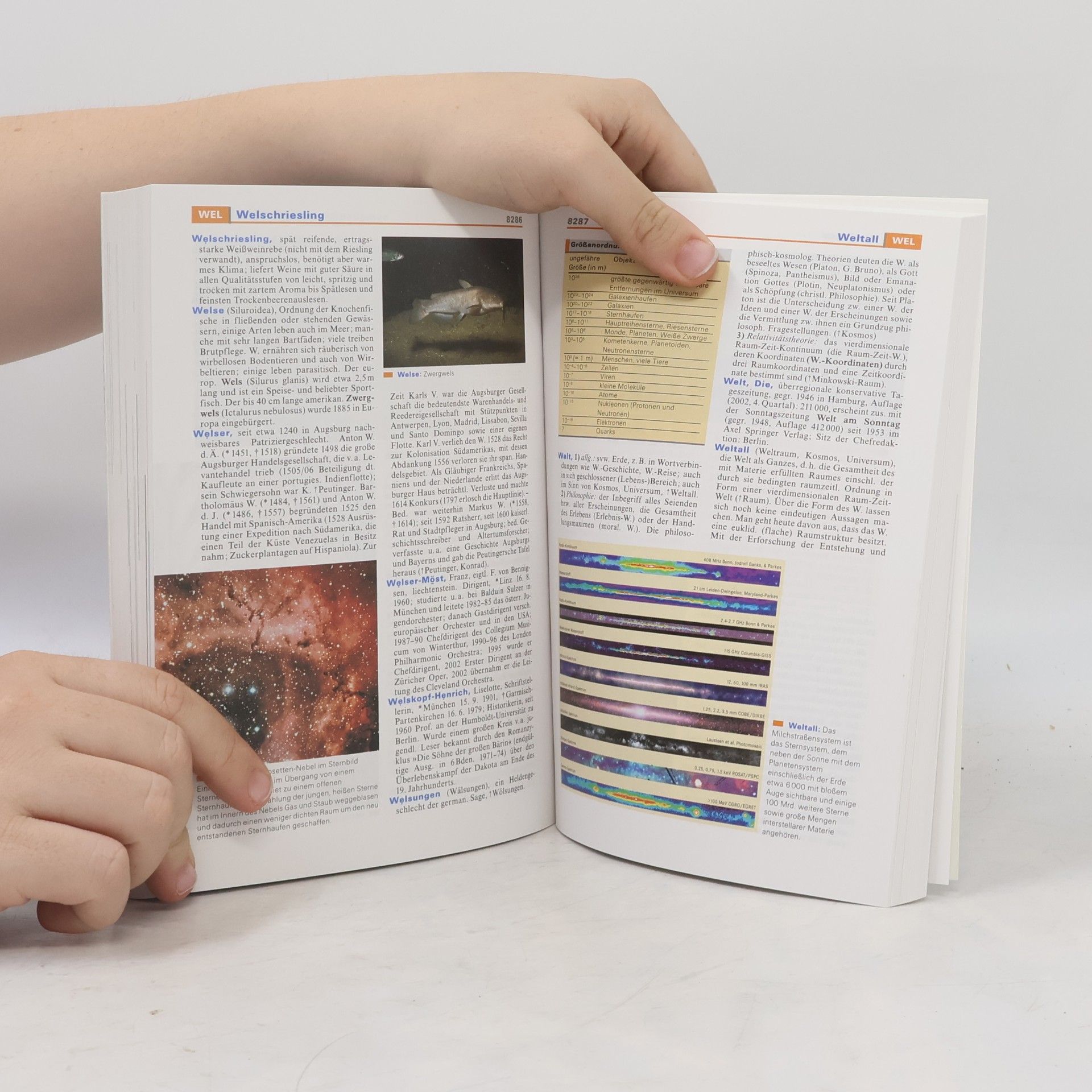 Autorenkollektiv Meyers grosses Taschenlexikon 25