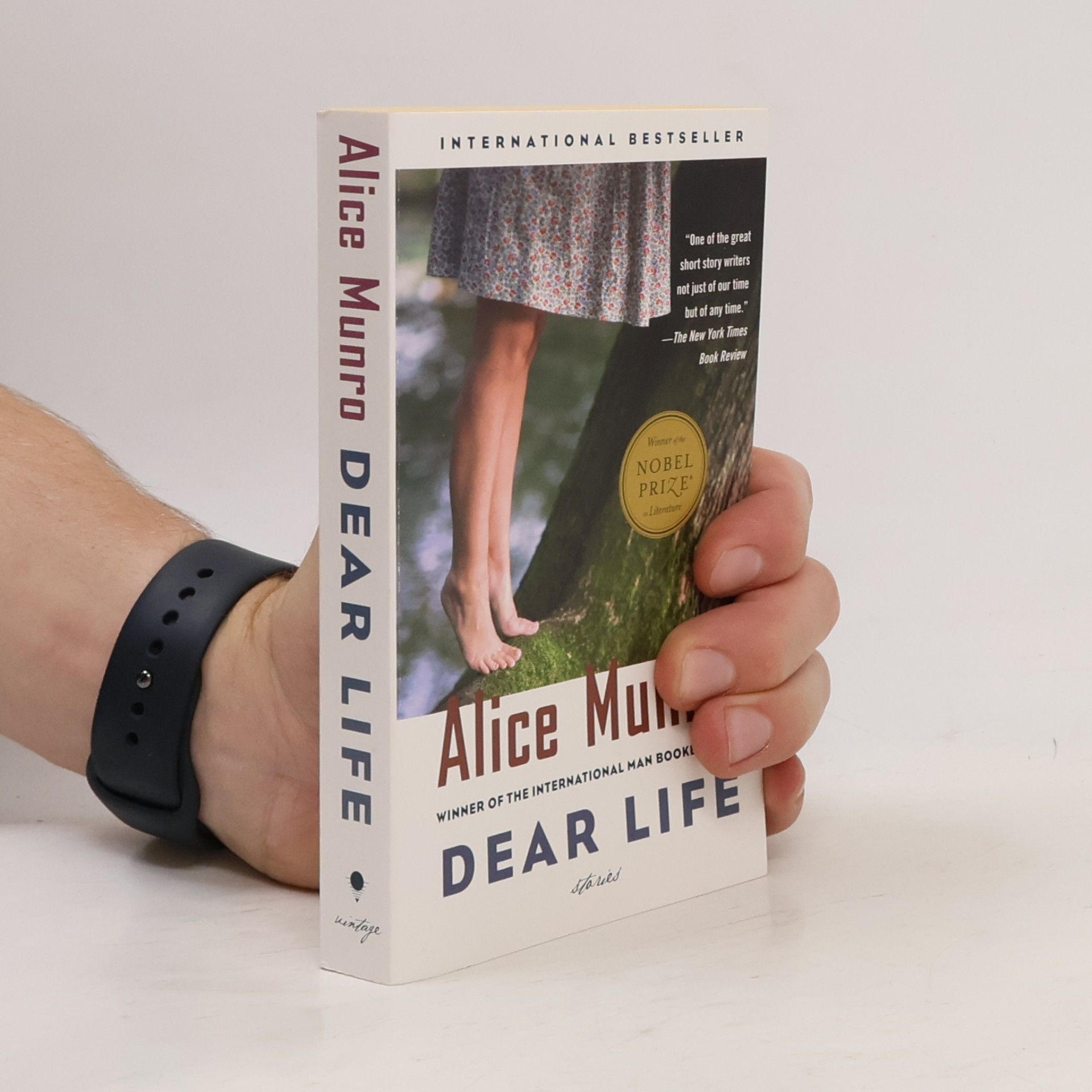 Alice Munro Dear Life