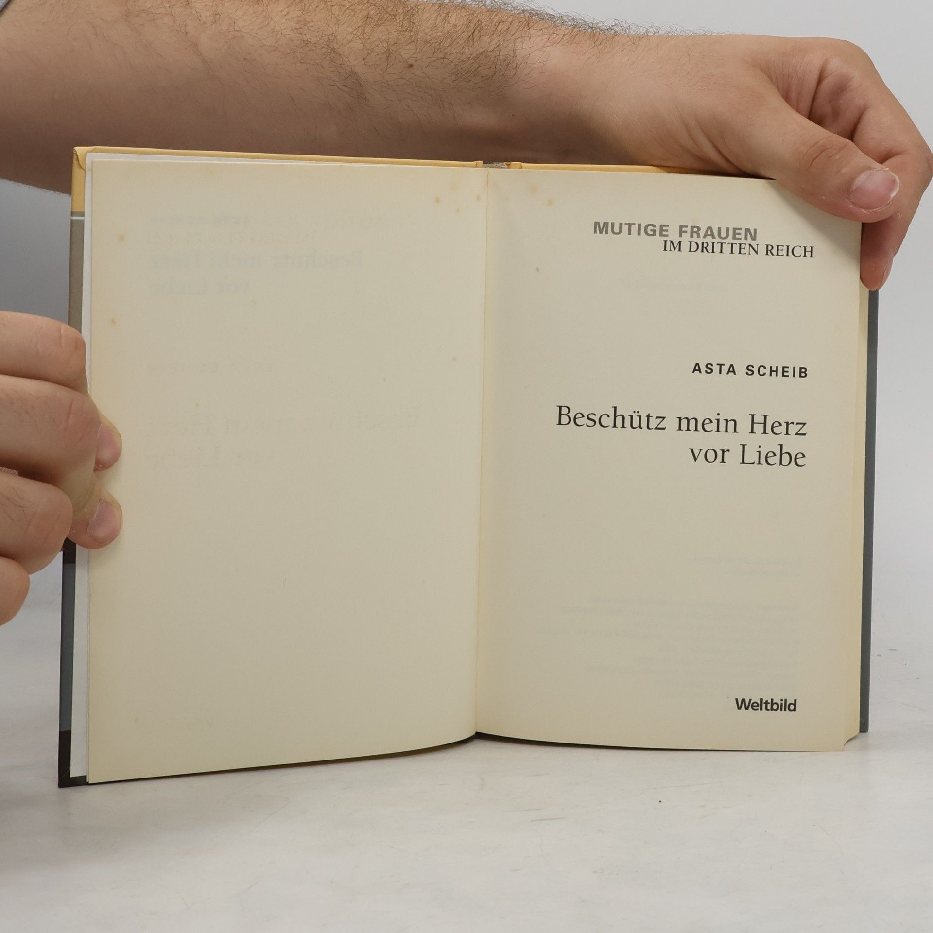 Asta Scheib Beschütz mein Herz vor Liebe