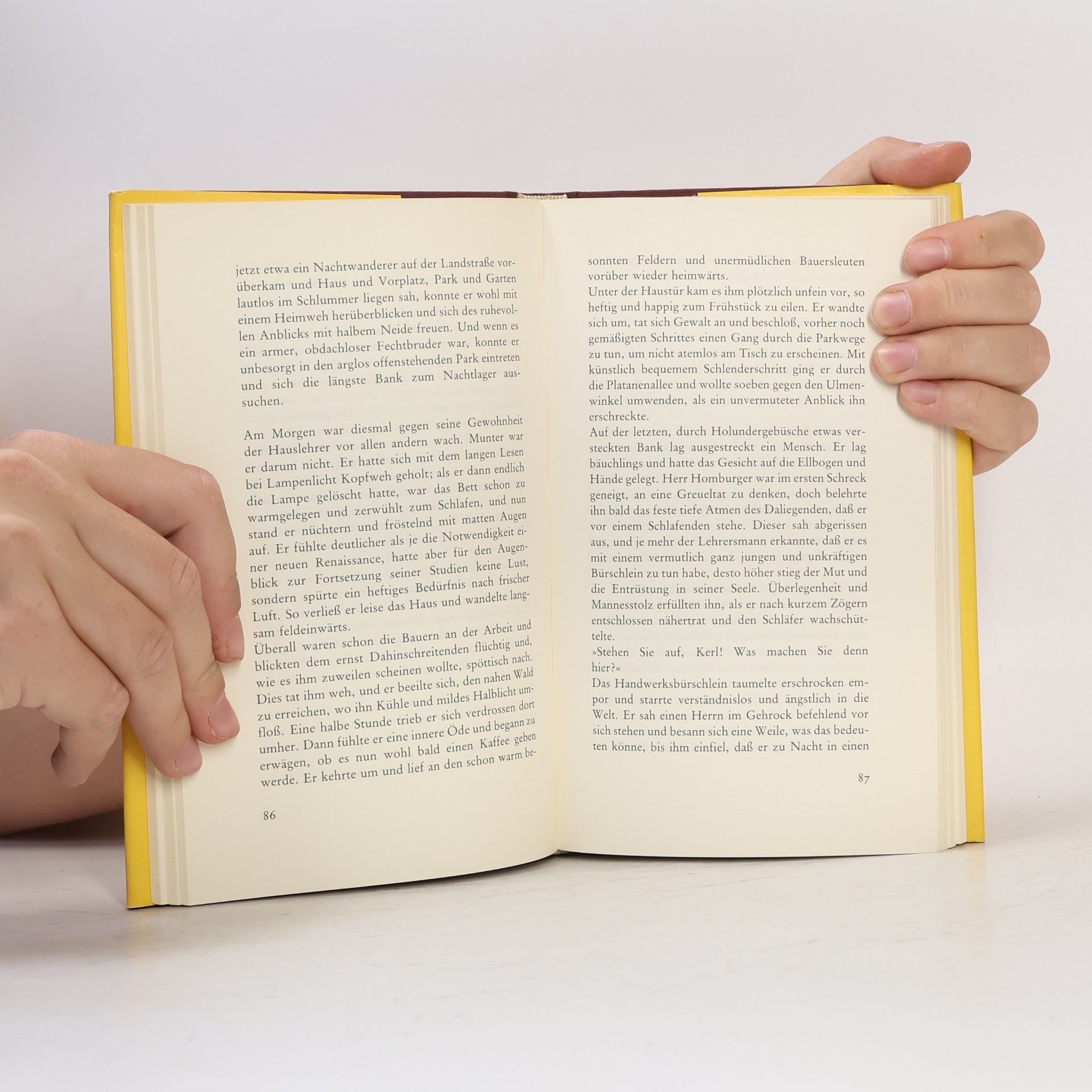 Hermann Hesse Diesseits