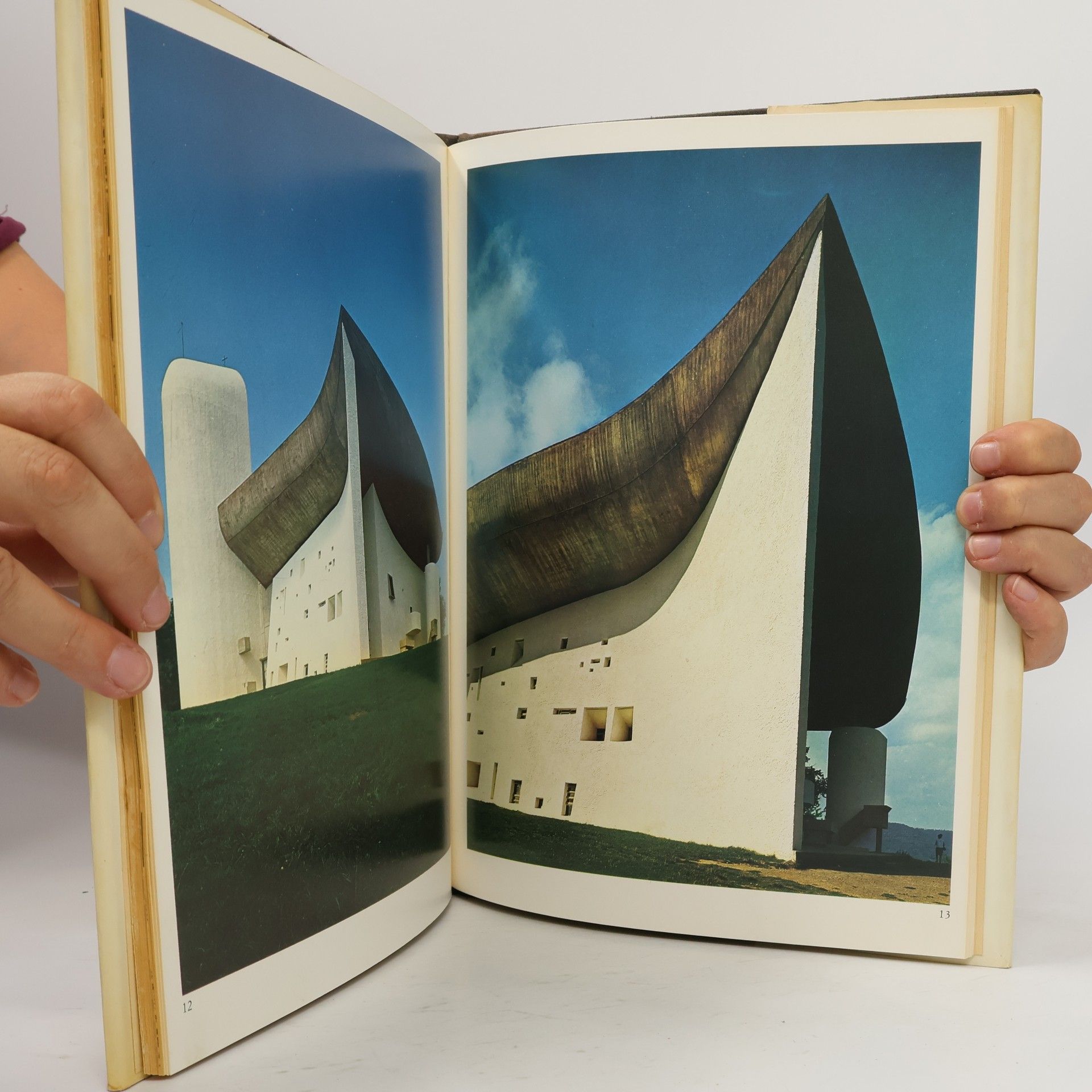 Carlo Cresti Le Corbusier