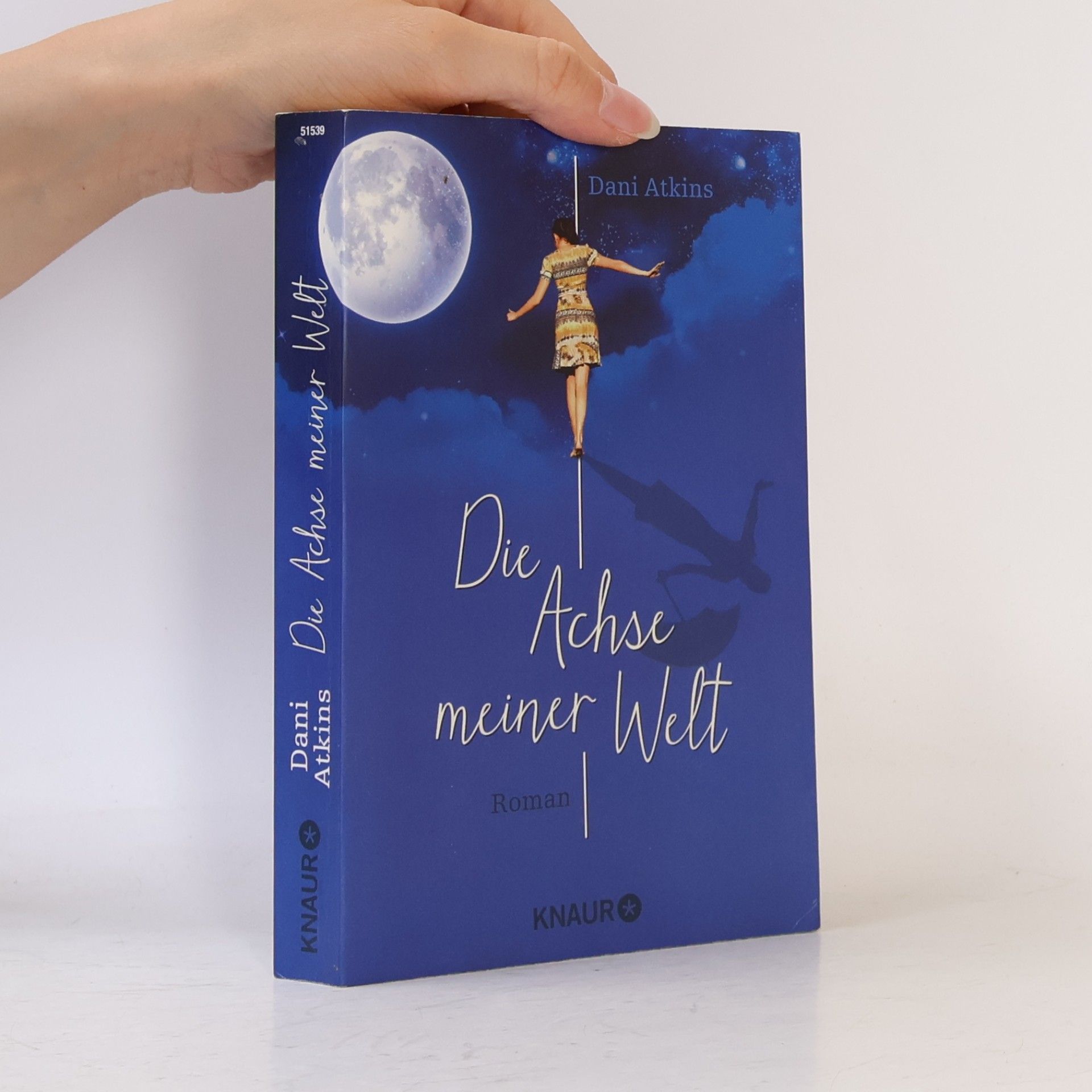 Dani Atkins Die Achse meiner Welt
