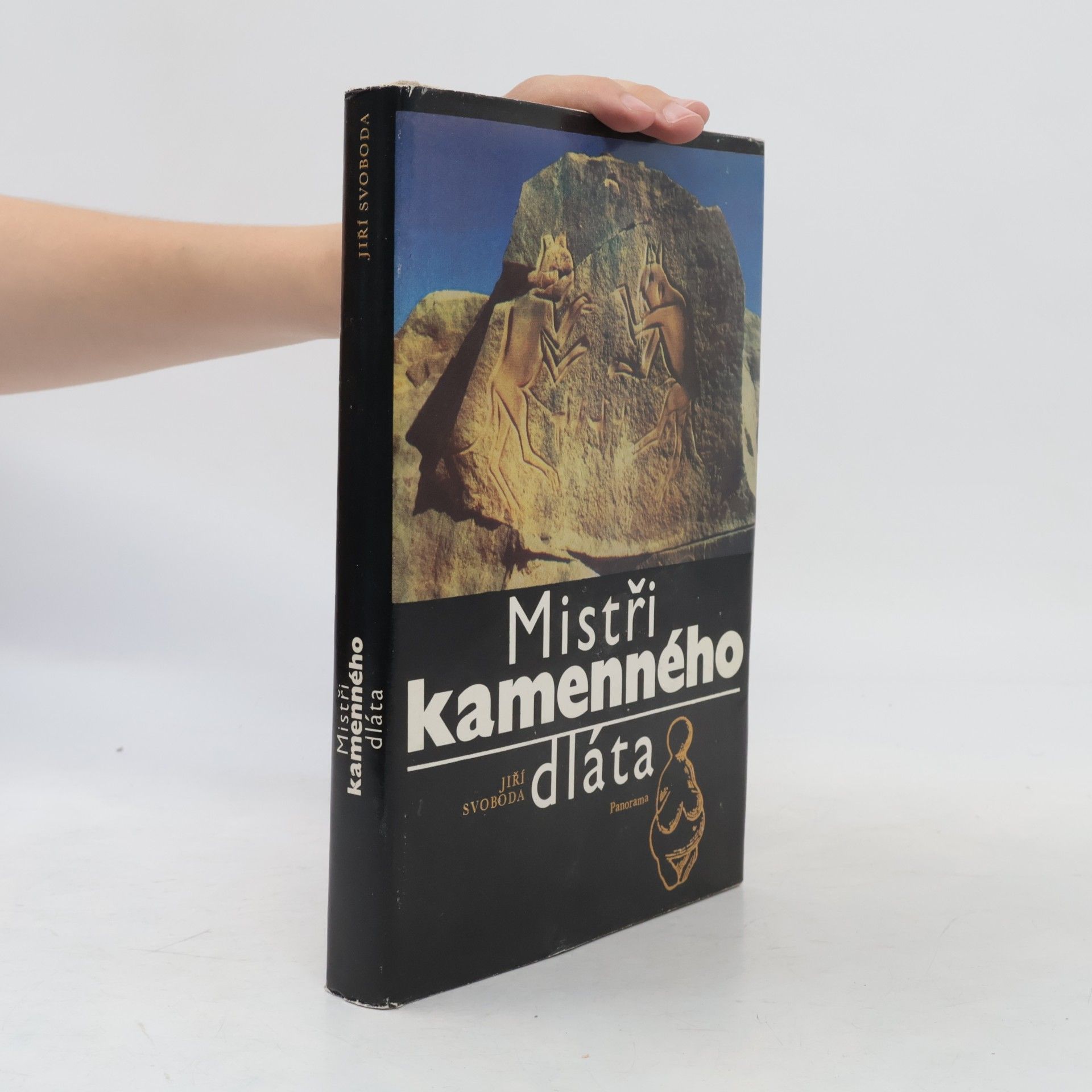 Jiří Svoboda Mistři kamenného dláta