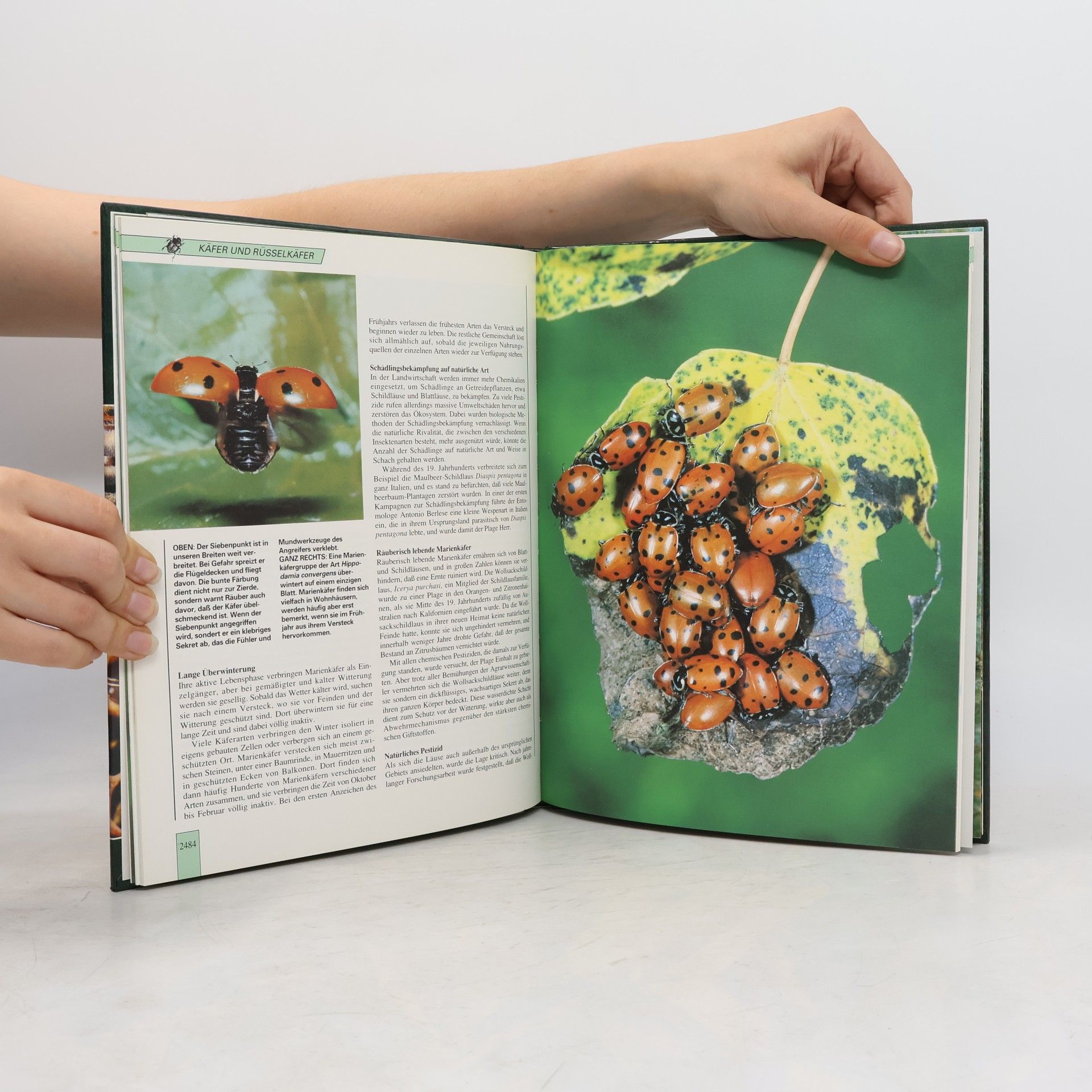 Autorenkollektiv Lebendiges Tierreich 42