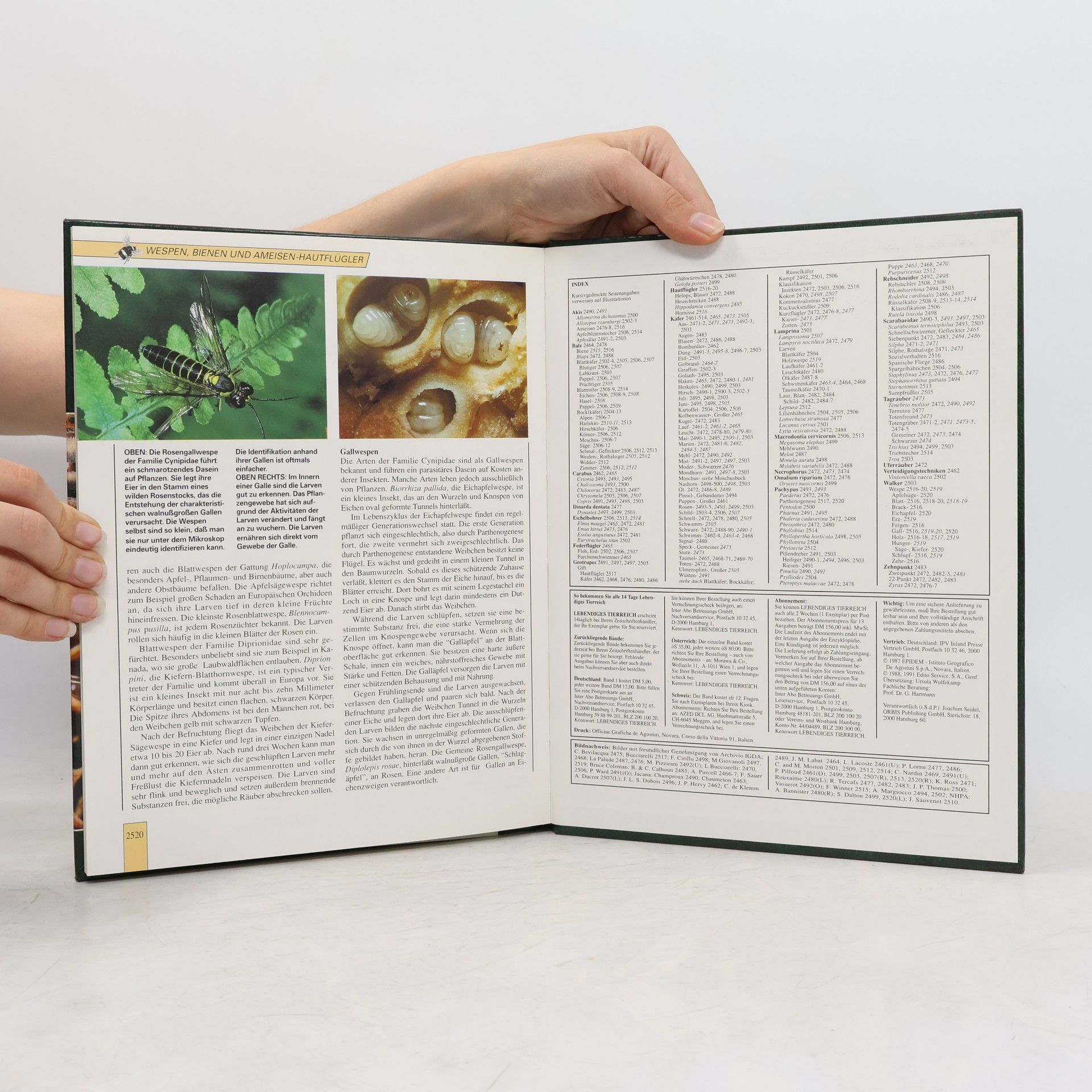 Autorenkollektiv Lebendiges Tierreich 42