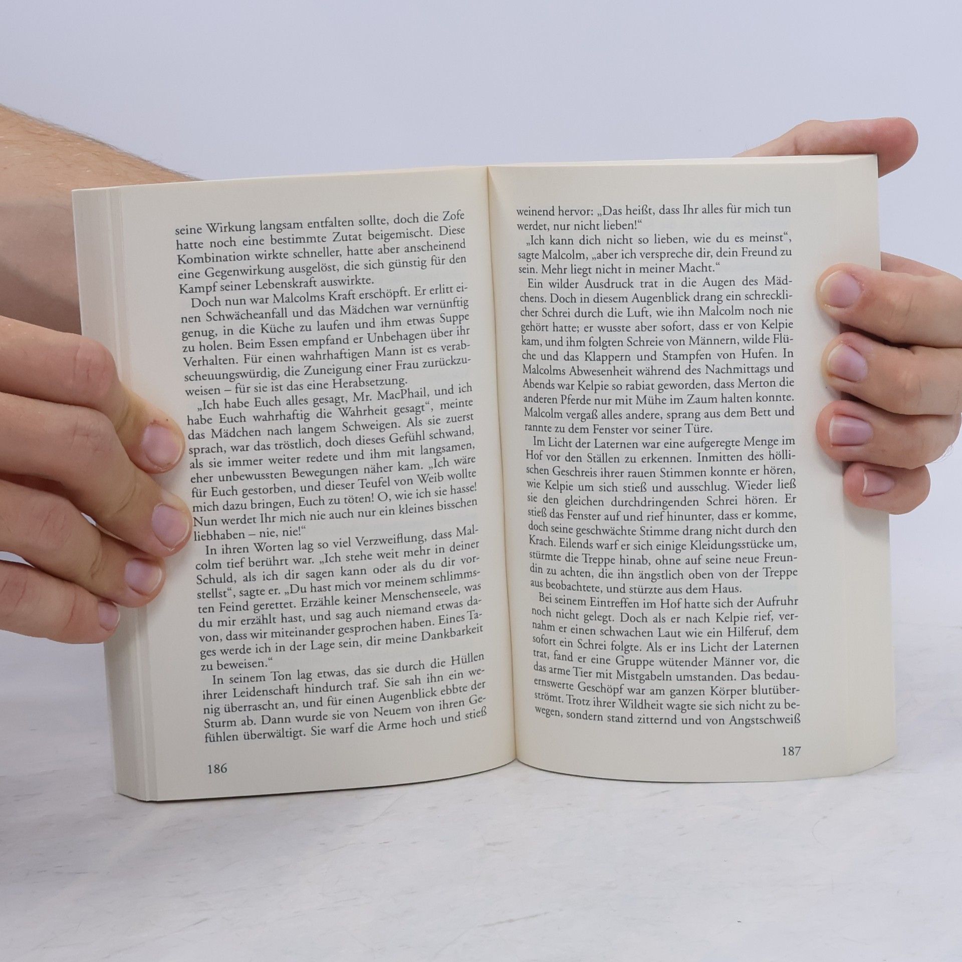 George MacDonald Das Geheimnis des Marquis
