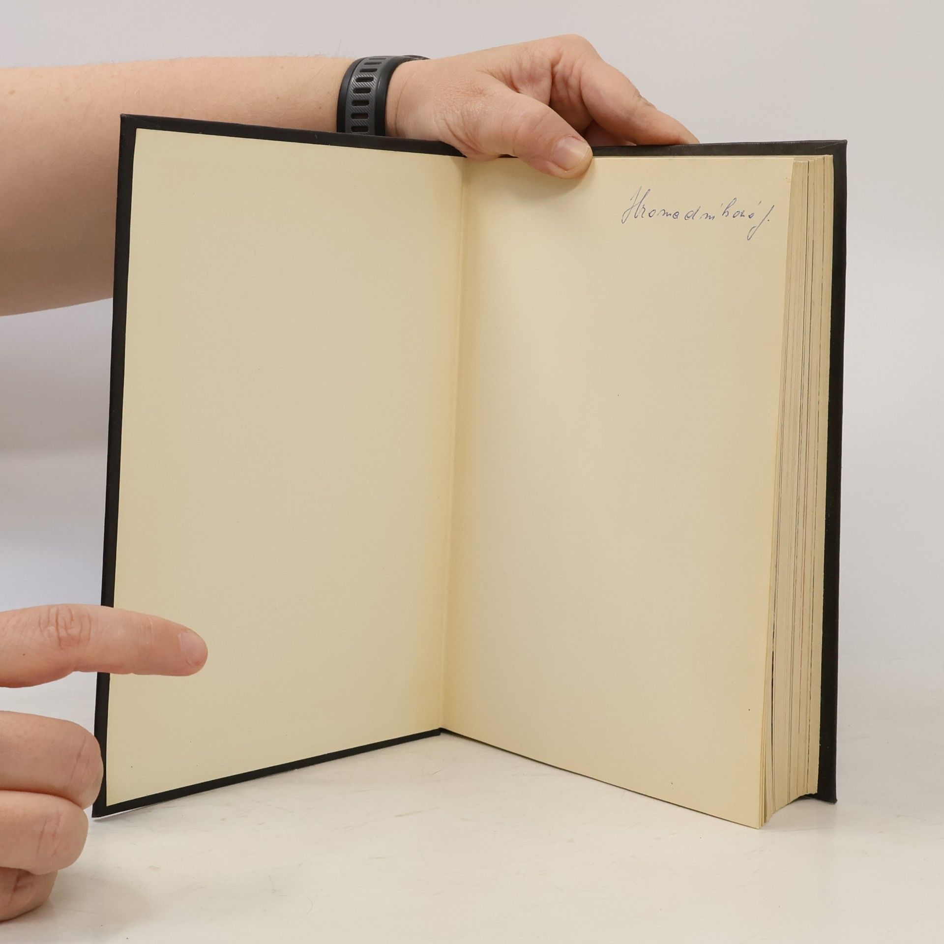 Autorenkollektiv Lucrecia Borgia. Její život a její doba