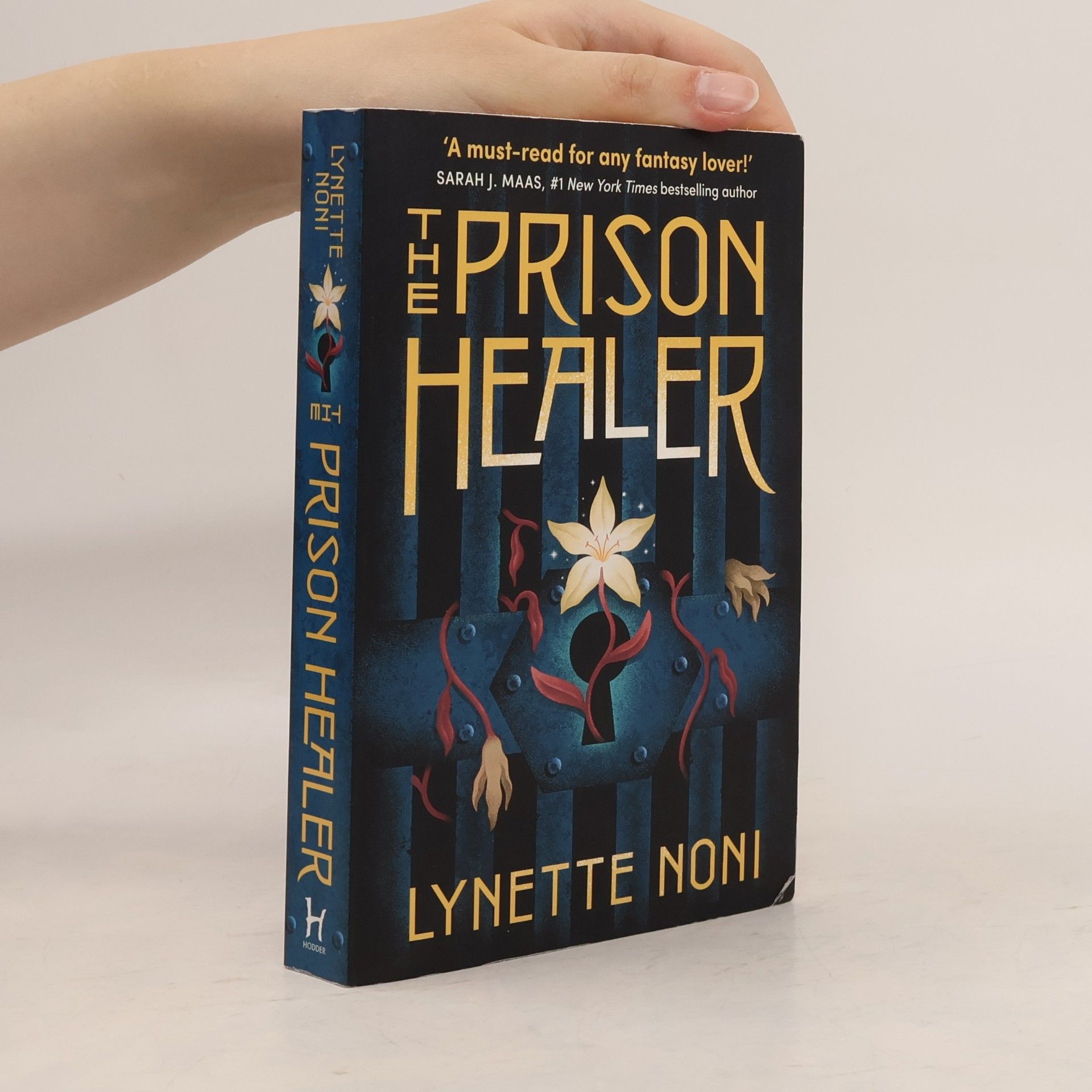 Lynette Noni The Prison Healer
