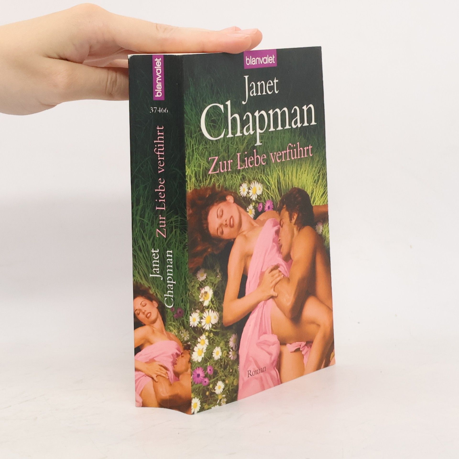 Janet Chapman Zur Liebe verführt. Roman