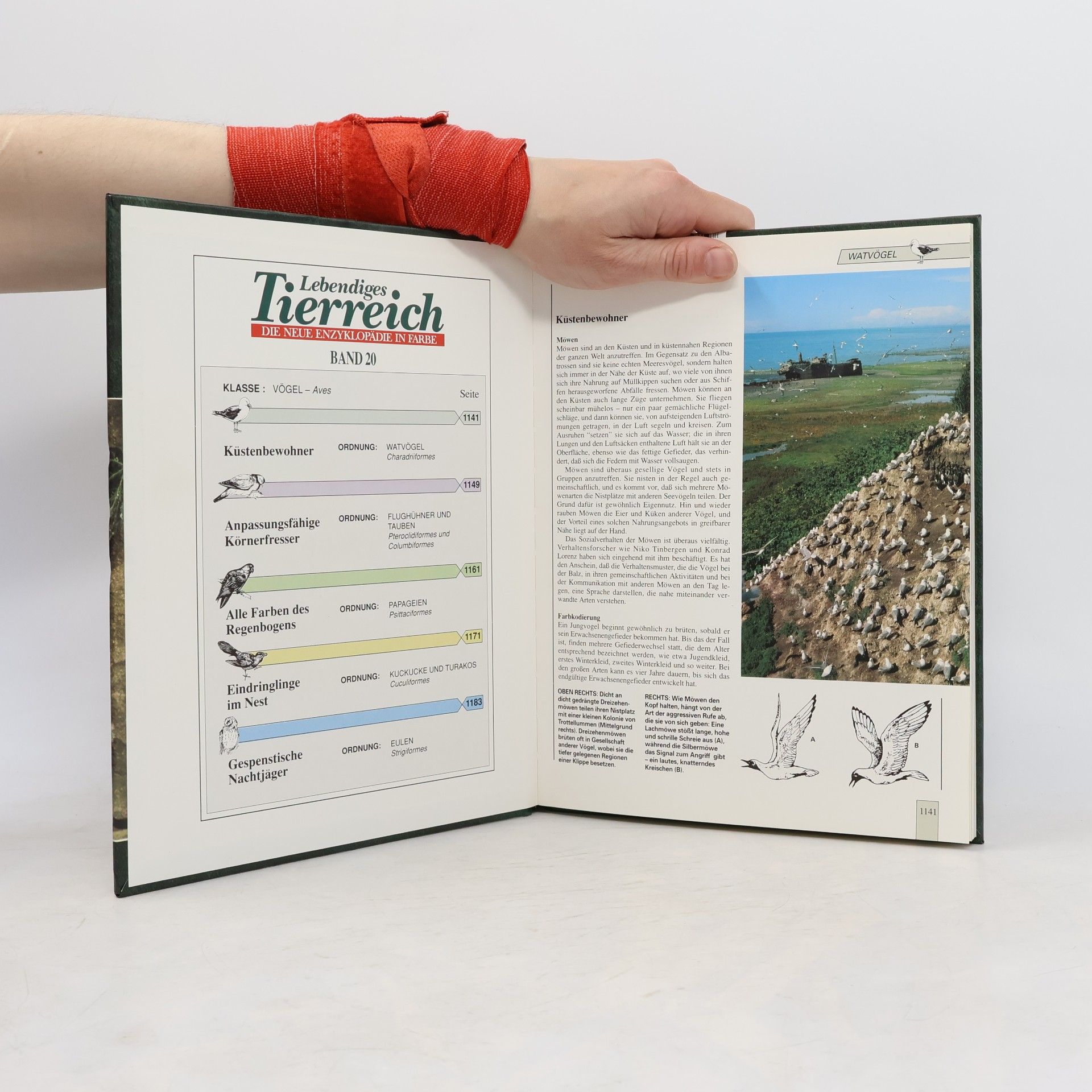 Kolektiv autorů Lebendiges Tierreich 20