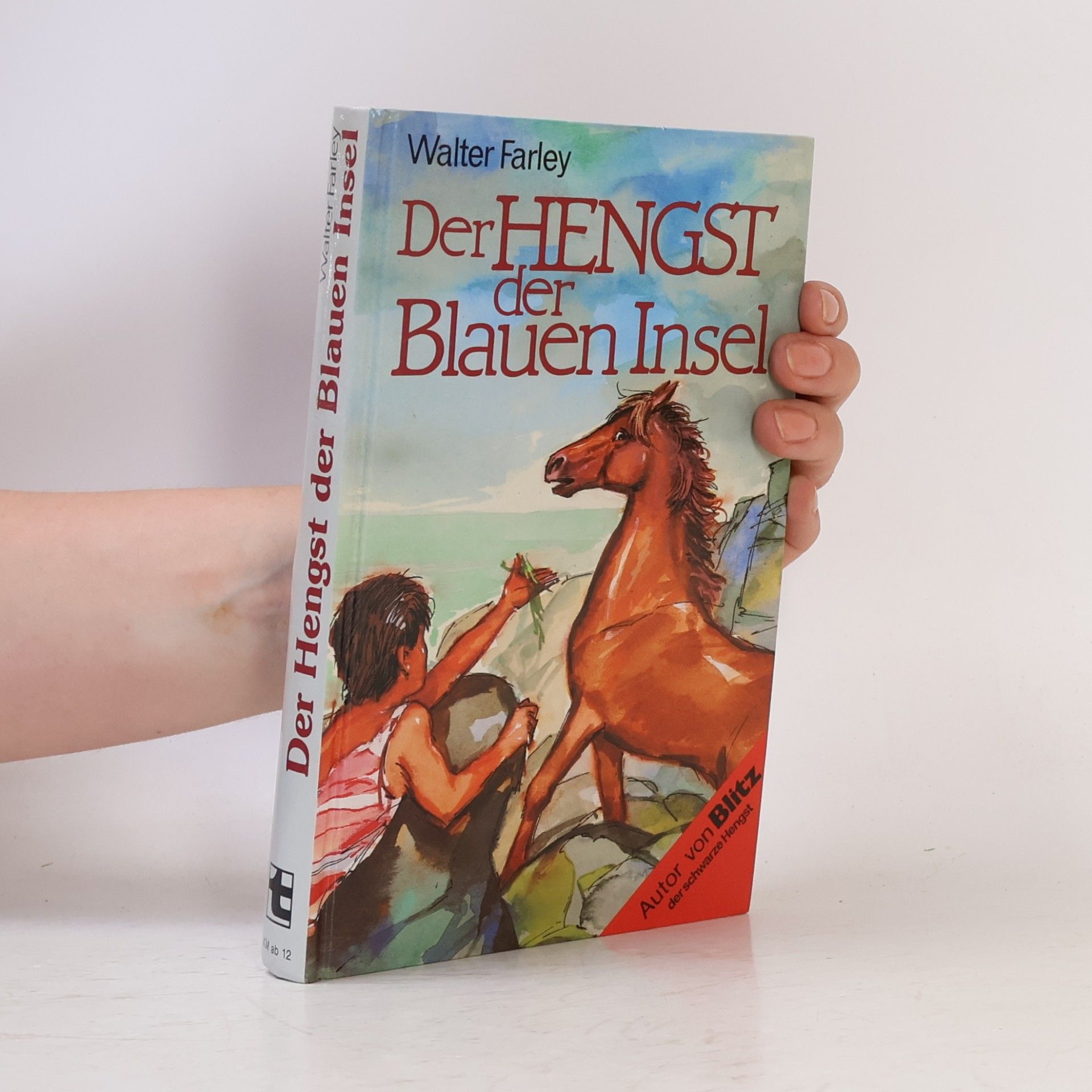 Der Hengst der Blauen Insel