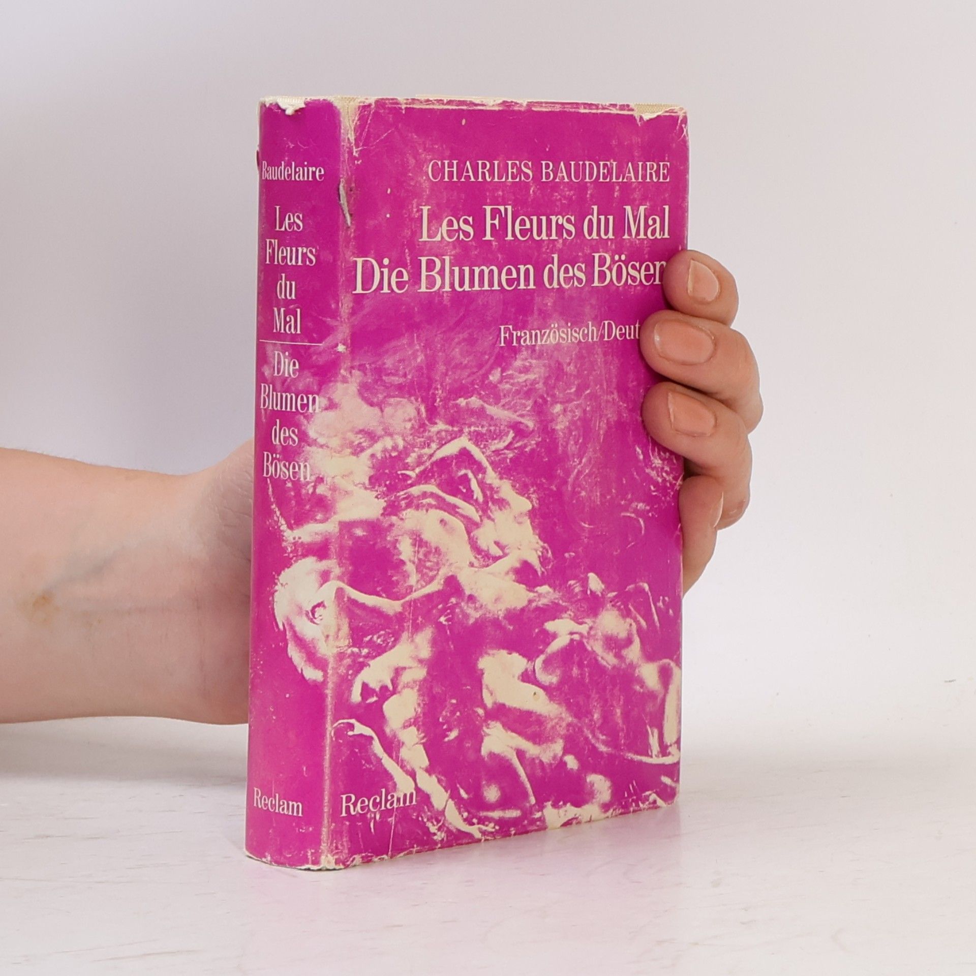 Charles Baudelaire Les fleurs du mal. Die Blumen der Bösen