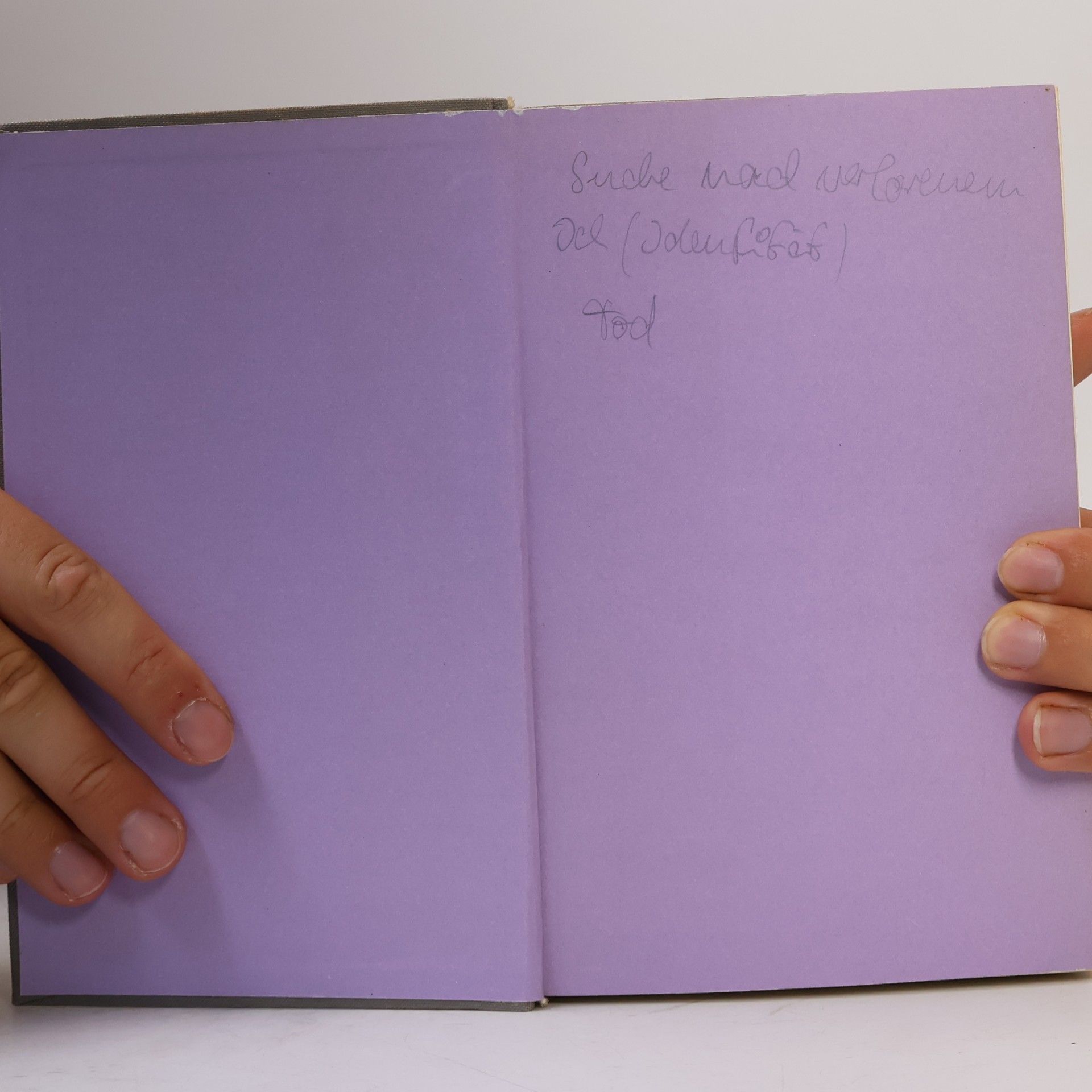 Max Frisch Mein Name sei Gantenbein