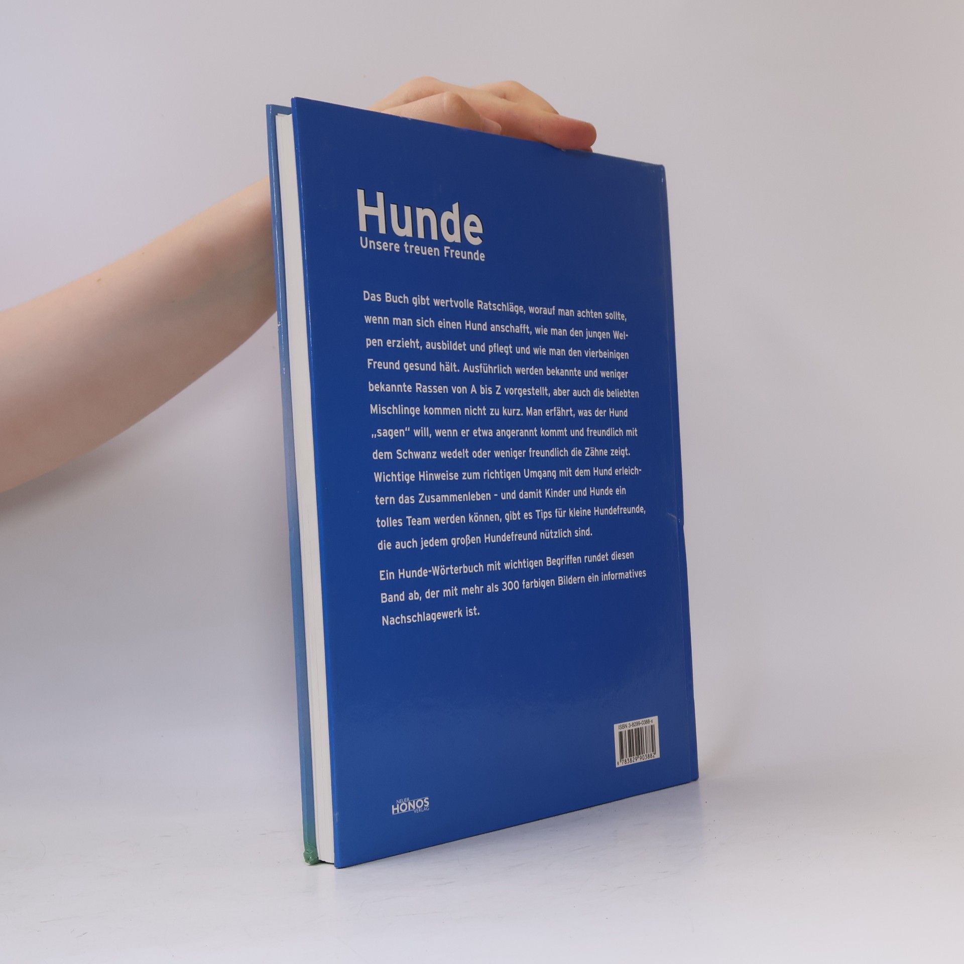 Barbara Willms Hunde