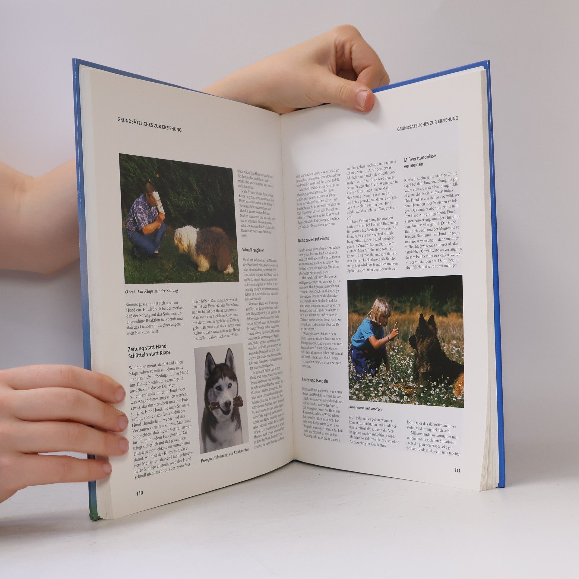 Barbara Willms Hunde