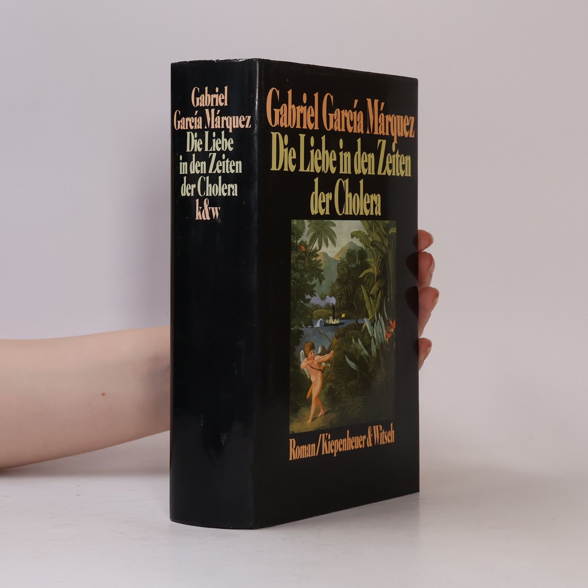 Gabriel García Márquez Die Liebe in den Zeiten der Cholera