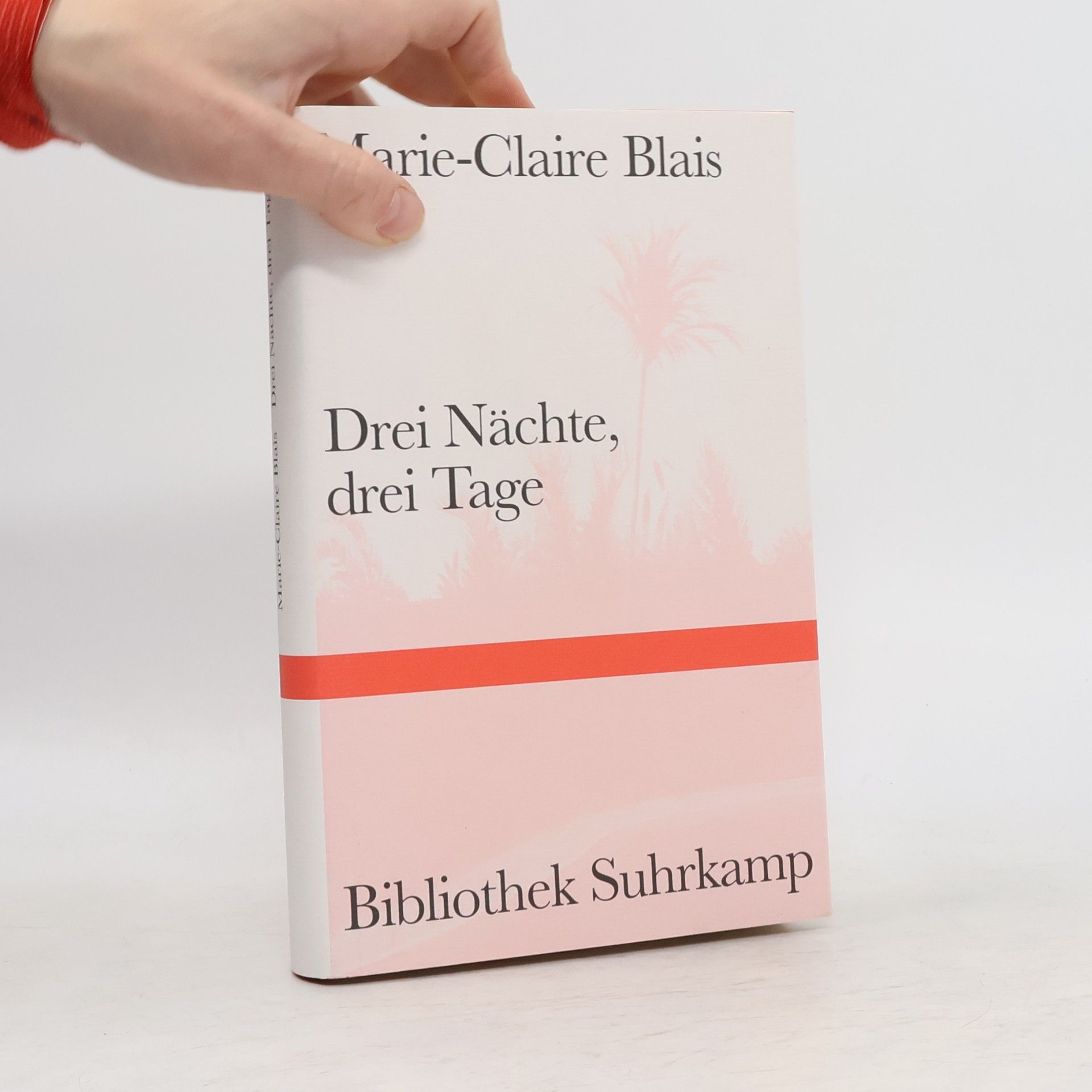Marie-Claire Blais Drei Nächte, drei Tage