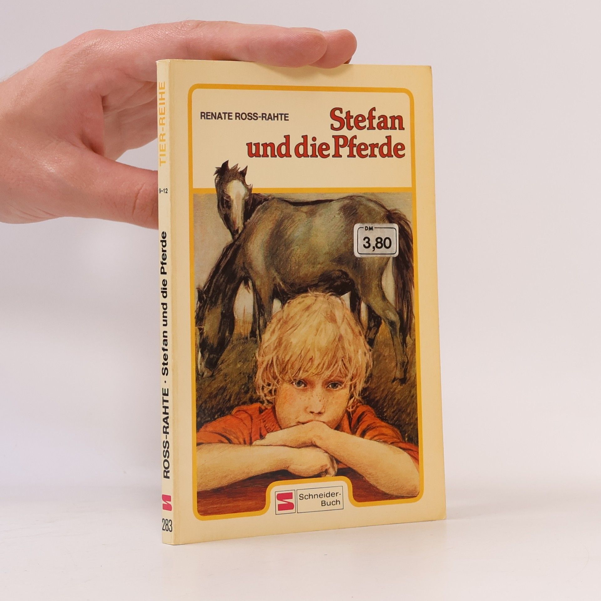 Renate Ross-Rahte Stefan und die Pferde.