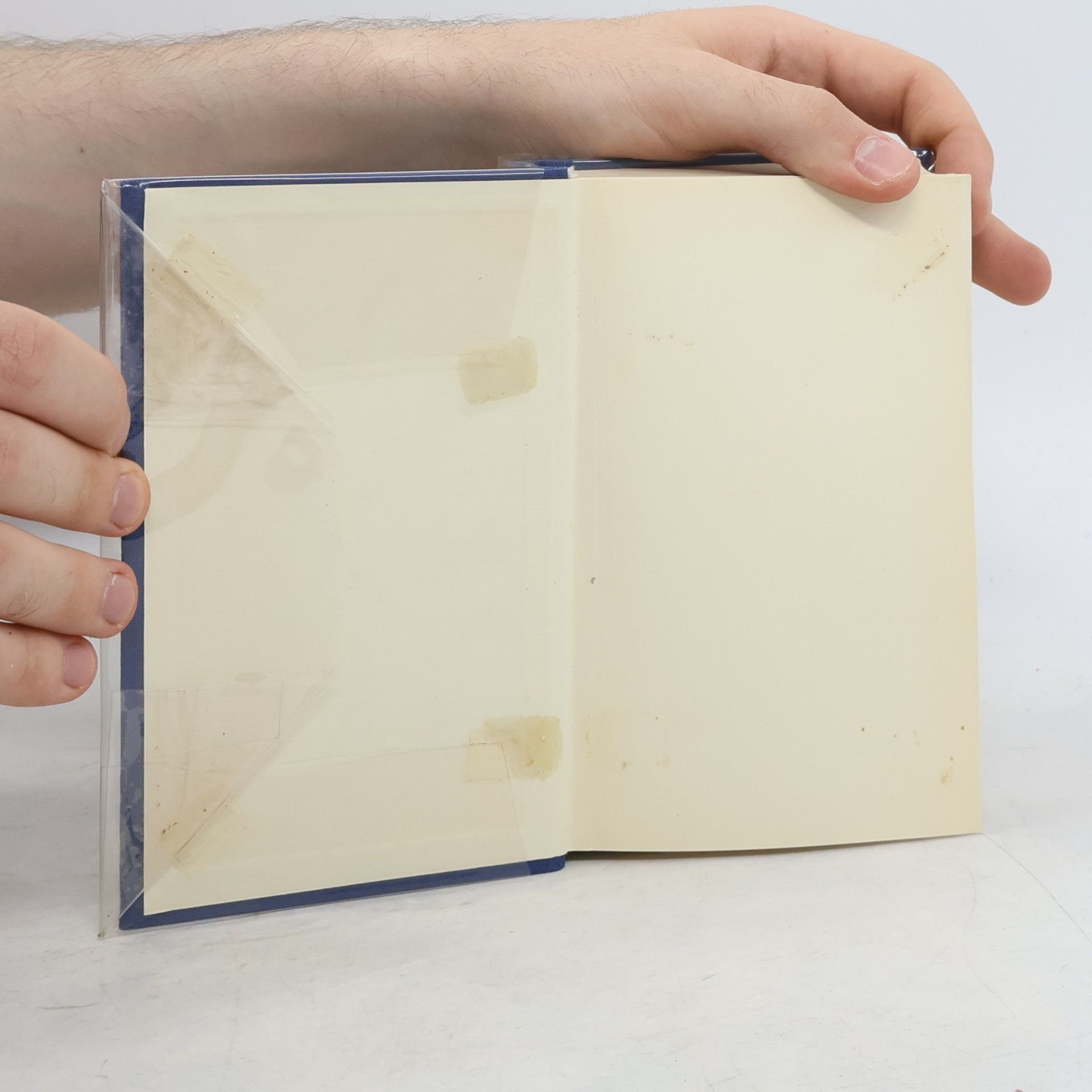 Curt Rint Handbuch für Hochfrequenz- und Elektro-Techniker