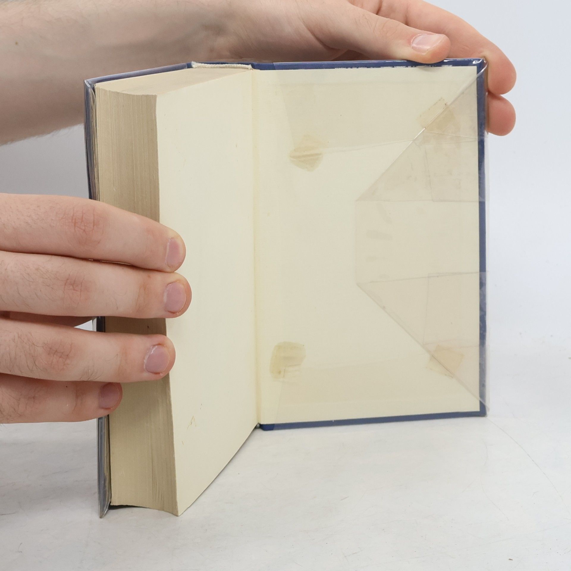 Curt Rint Handbuch für Hochfrequenz- und Elektro-Techniker