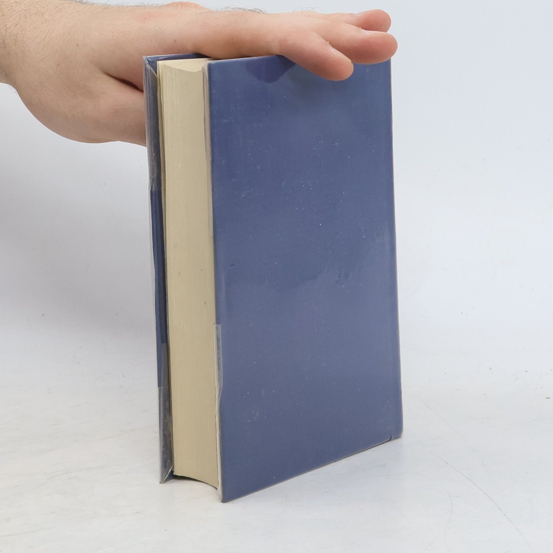 Curt Rint Handbuch für Hochfrequenz- und Elektro-Techniker