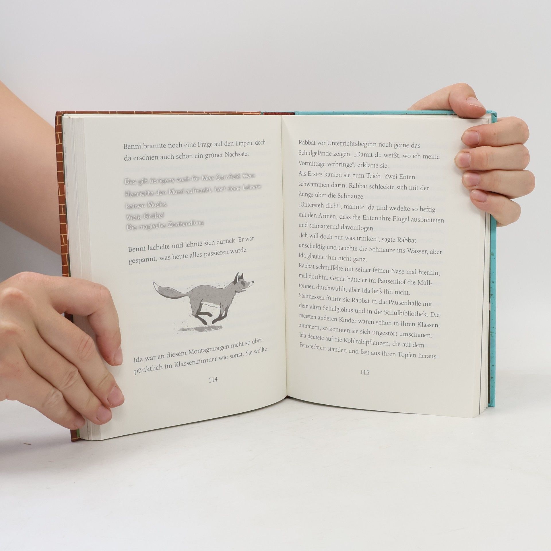 Margit Auer Die Schule der magischen Tiere 1