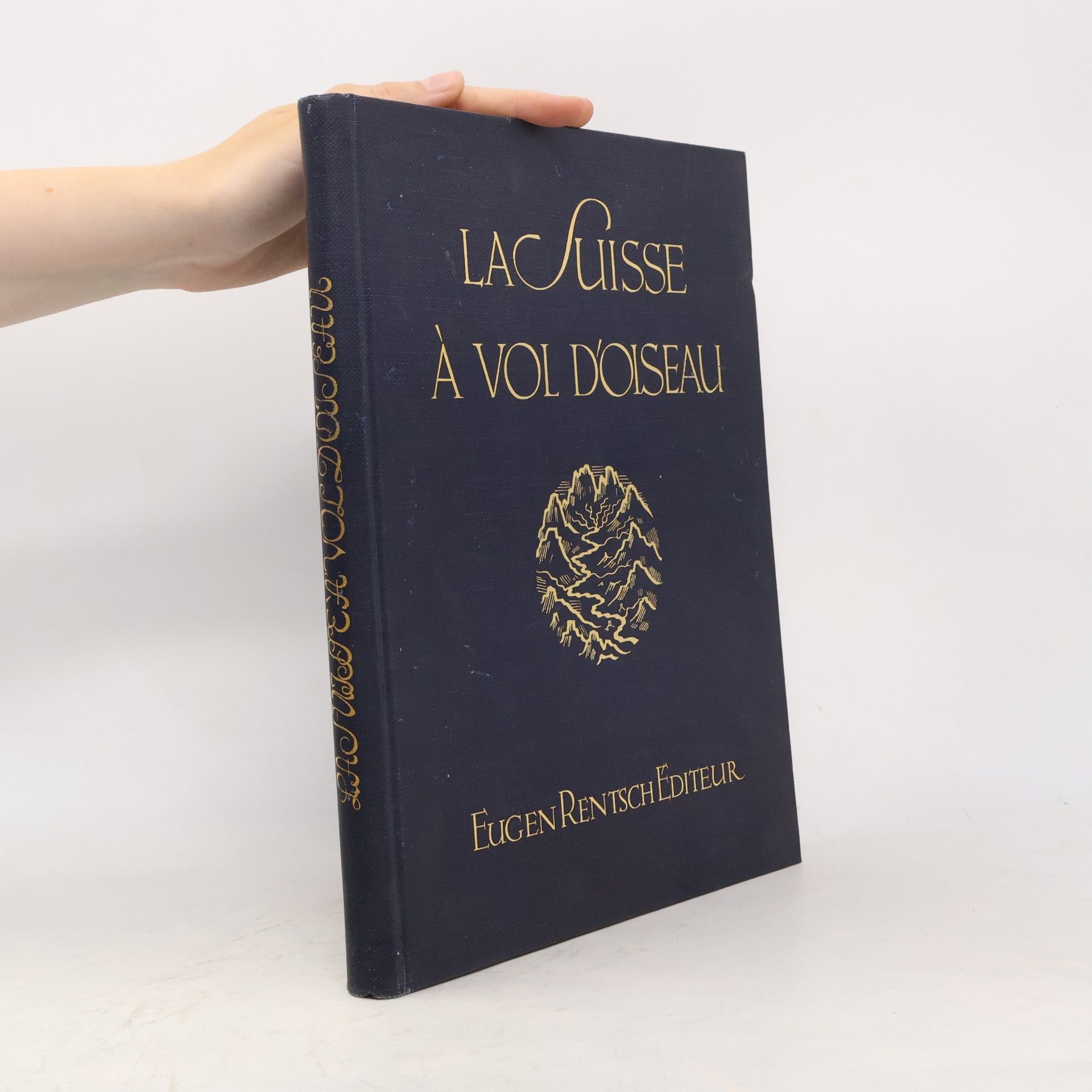 Kolektiv autorů La Suisse à vol d'oiseau
