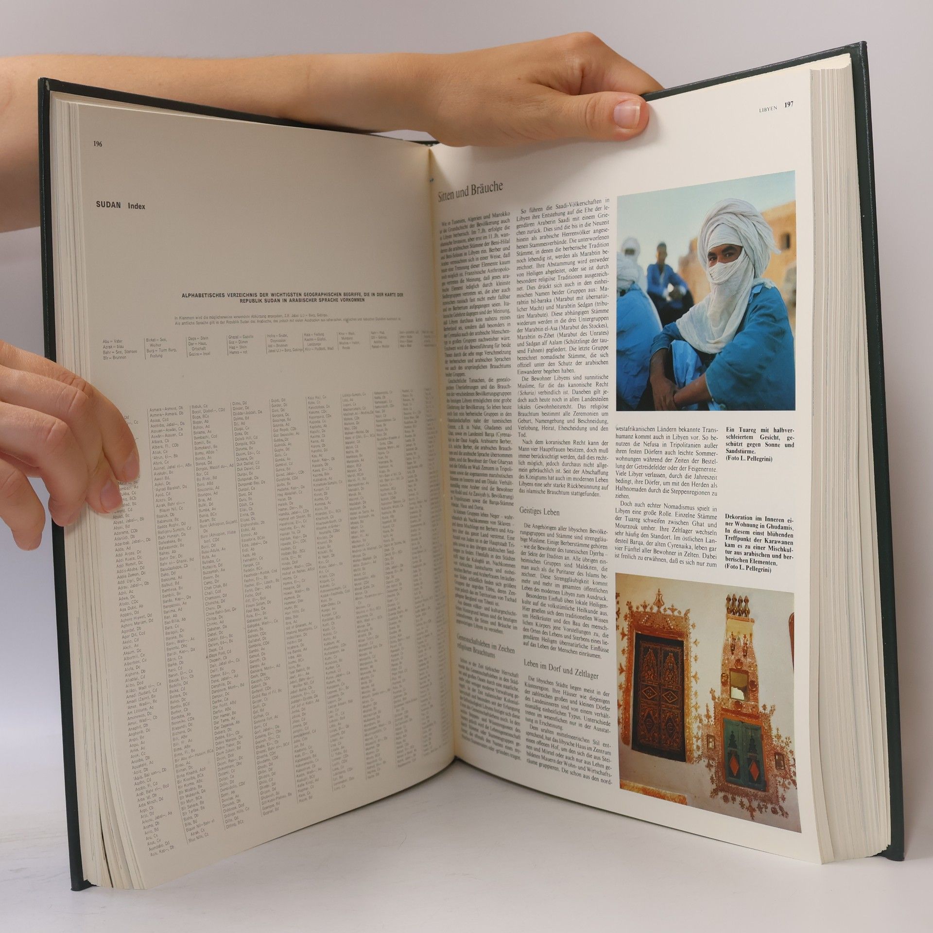 Autores varios Die grosse Enzyklopädie der Erde