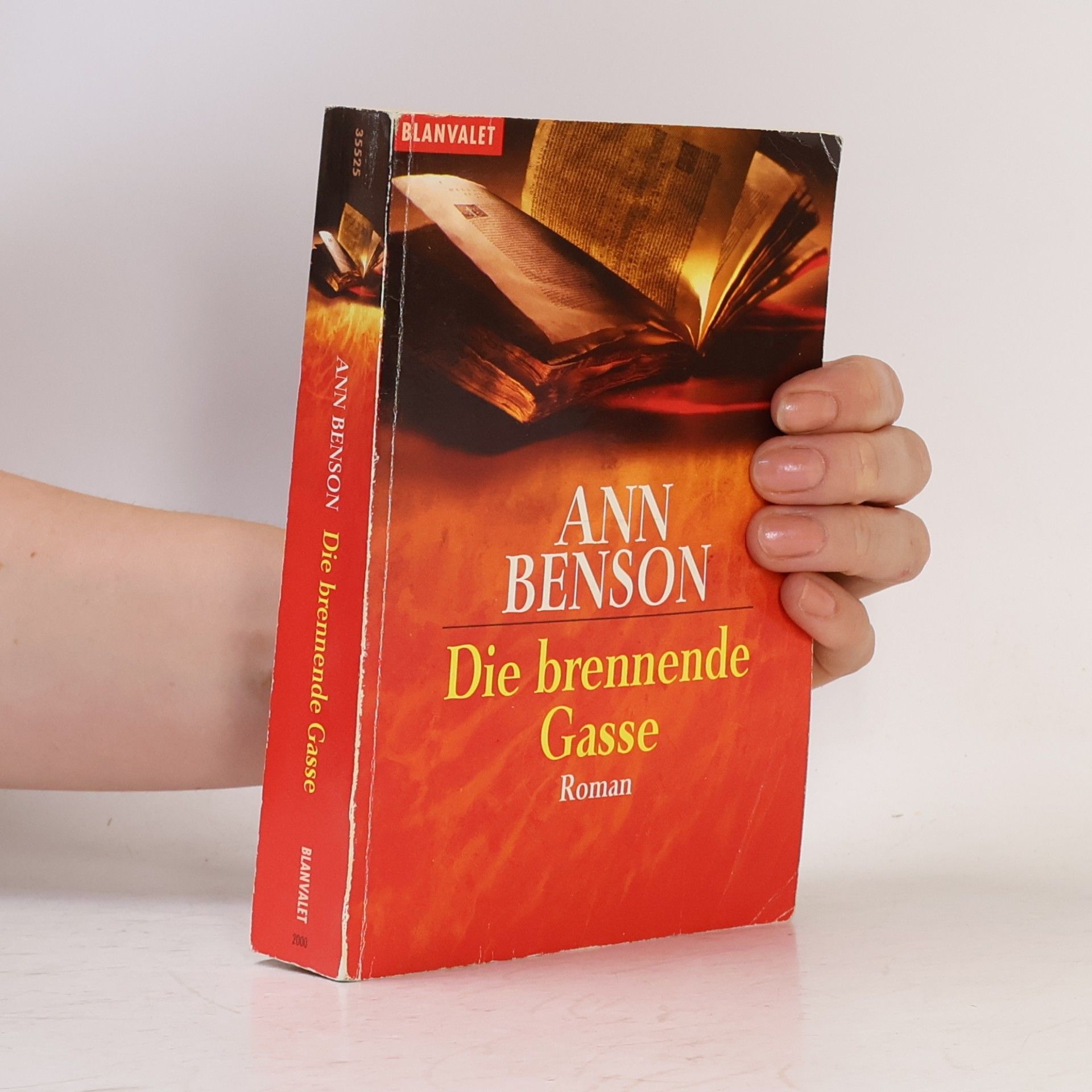 Ann Benson Die brennende Gasse