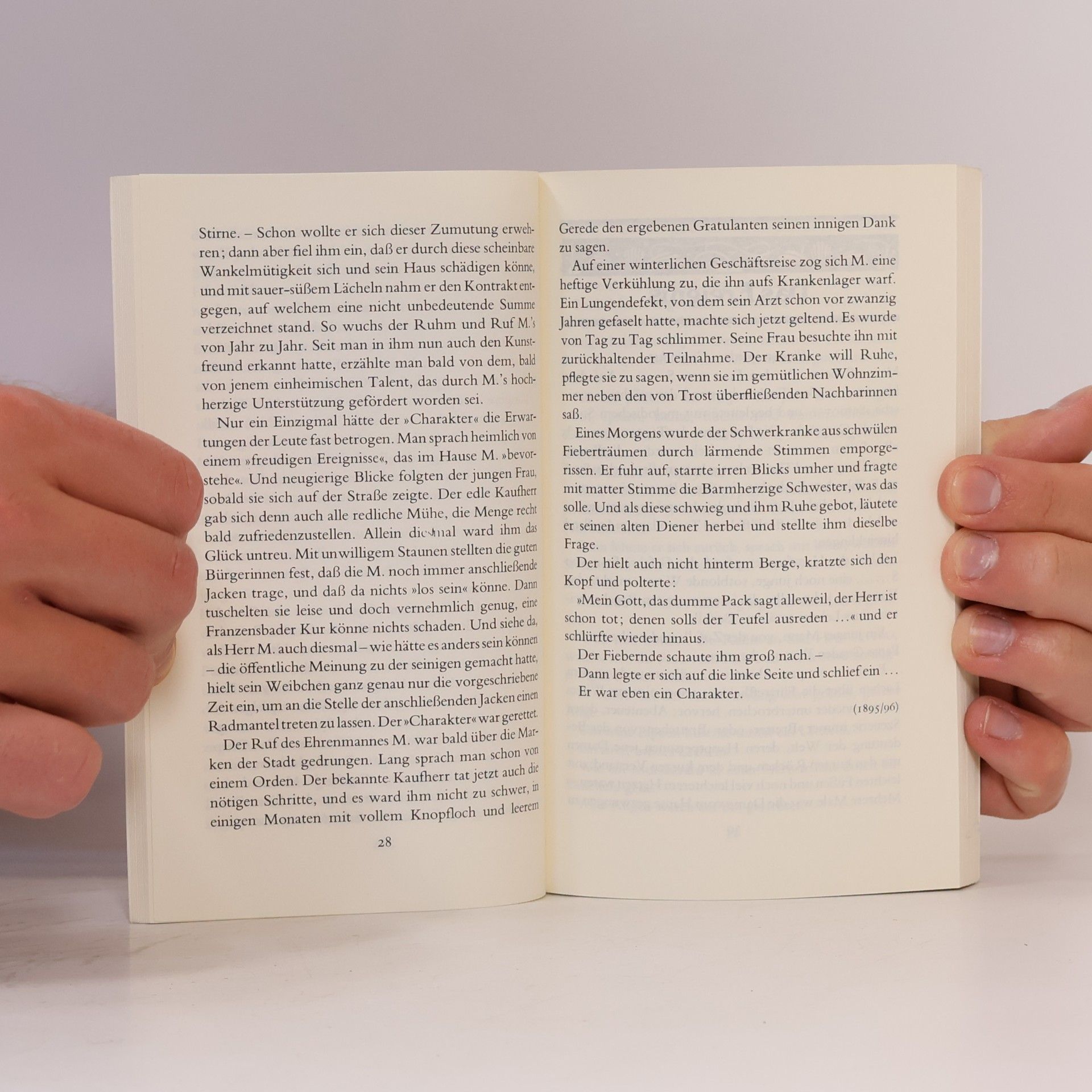 Rainer Maria Rilke Wladimir, der Wolkenmaler. und andere Erzählungen, Skizzen und Betrachtungen aus den Jahren 1893 - 1904.