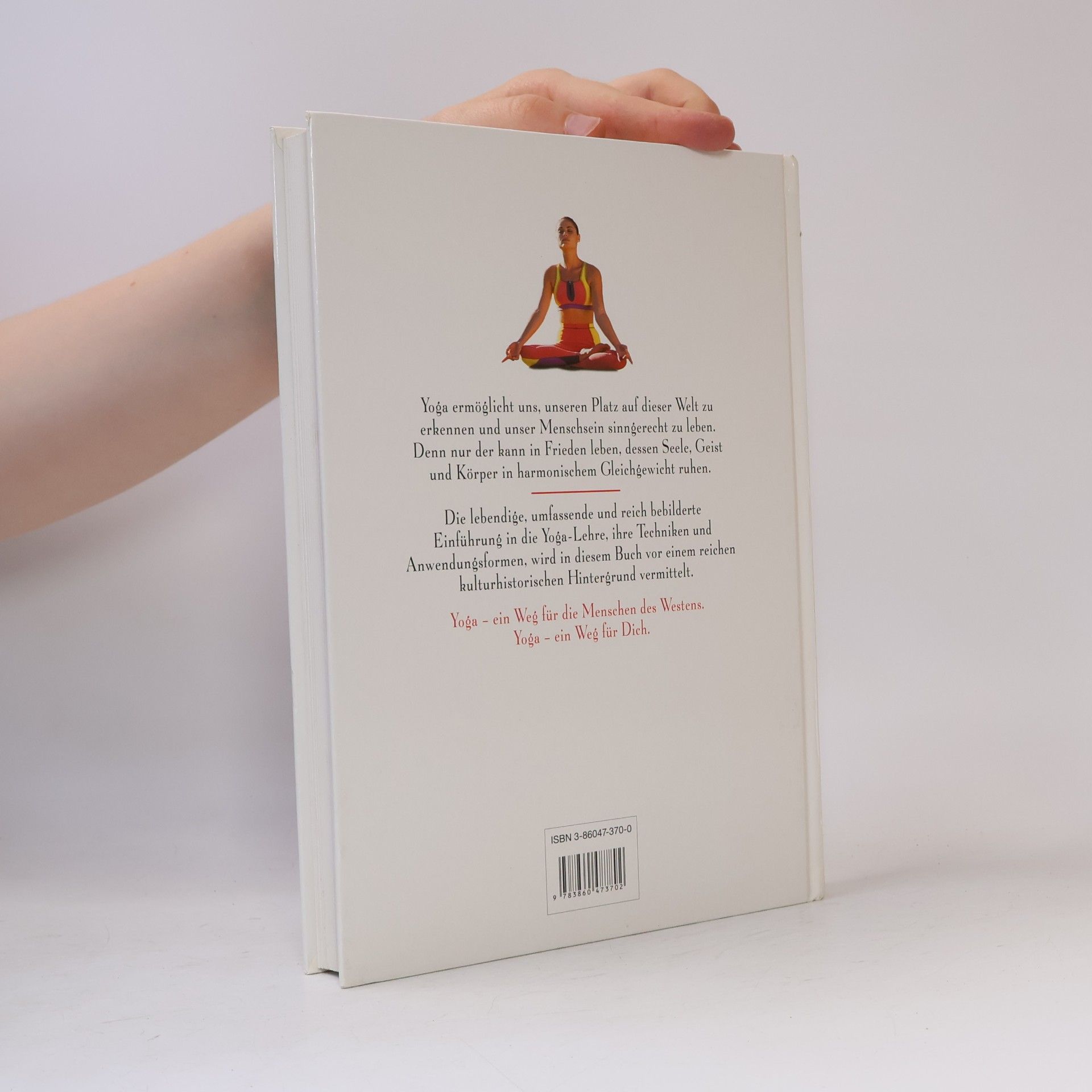Reinhard Bögle Yoga