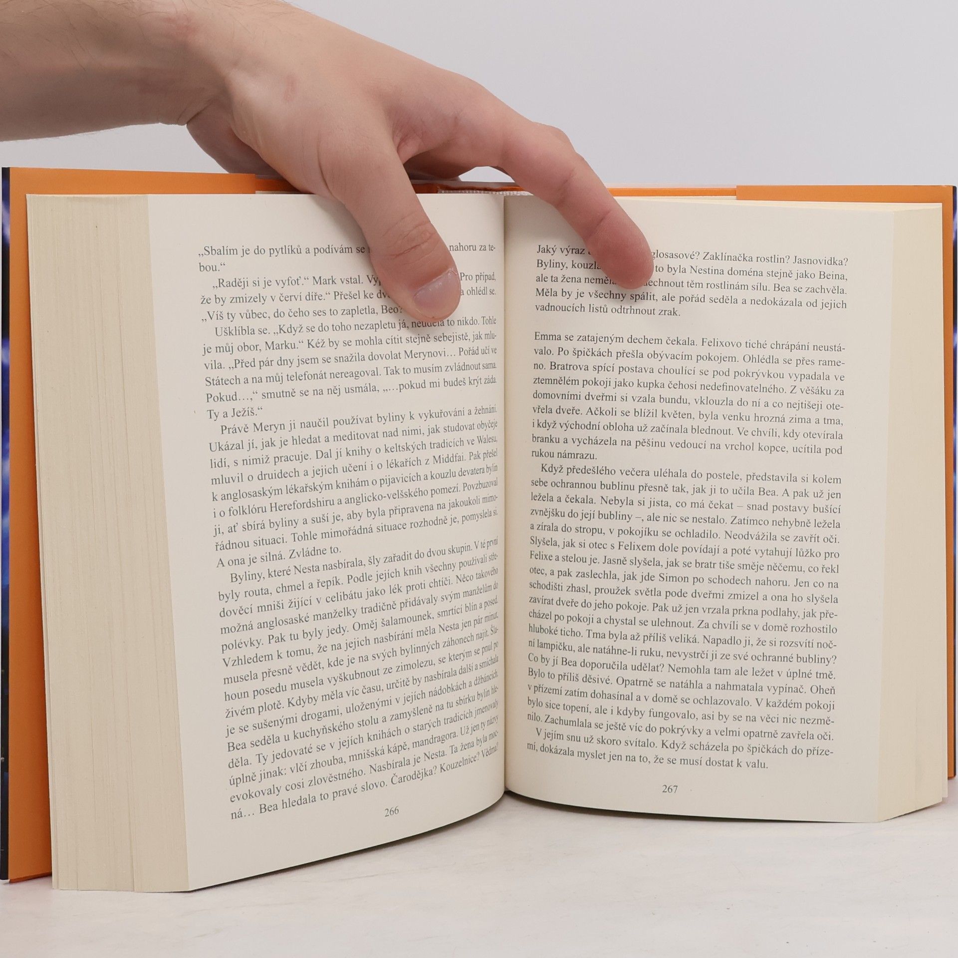 Barbara Erskine Spřádači snů