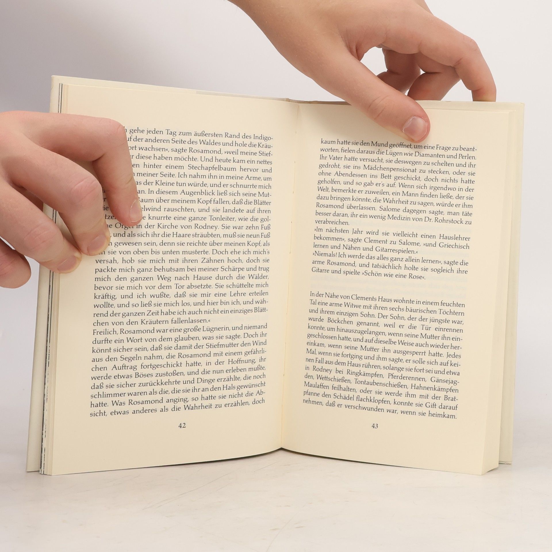 Eudora Welty Der Räuberbräutigam