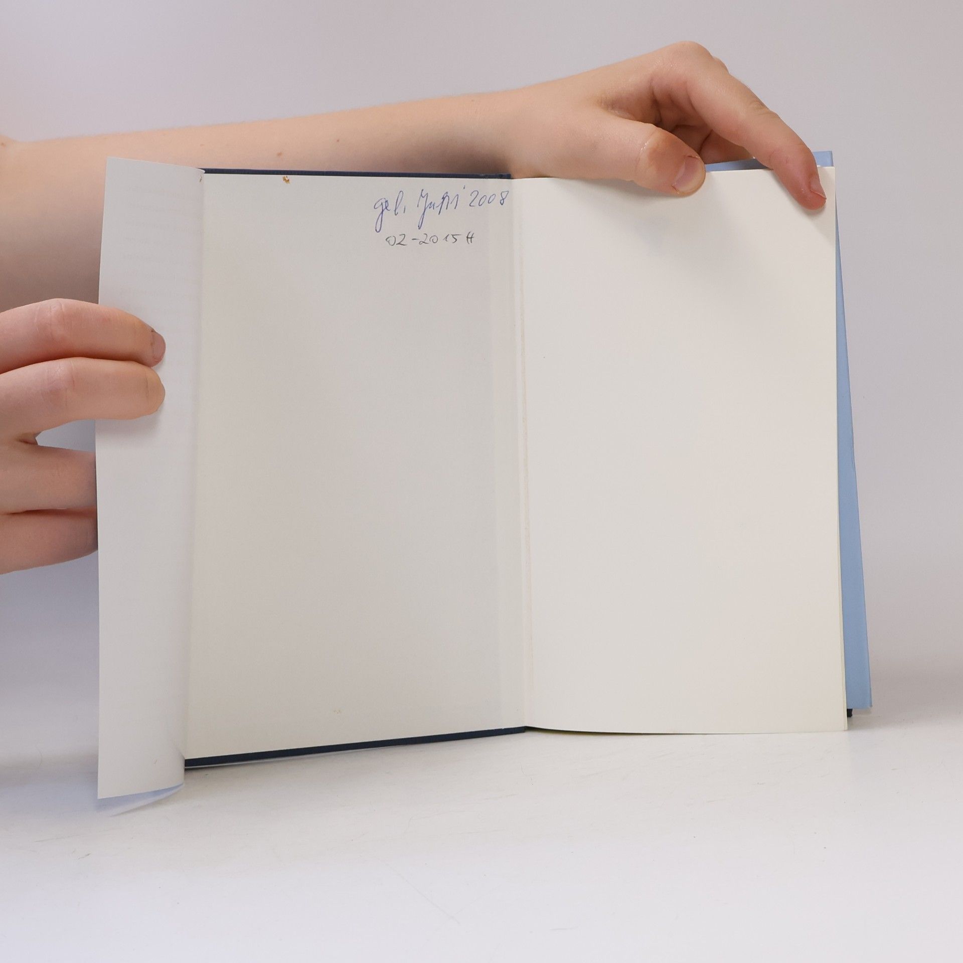 Wolfgang Schorlau Denglers - 1: Die Blaue Liste