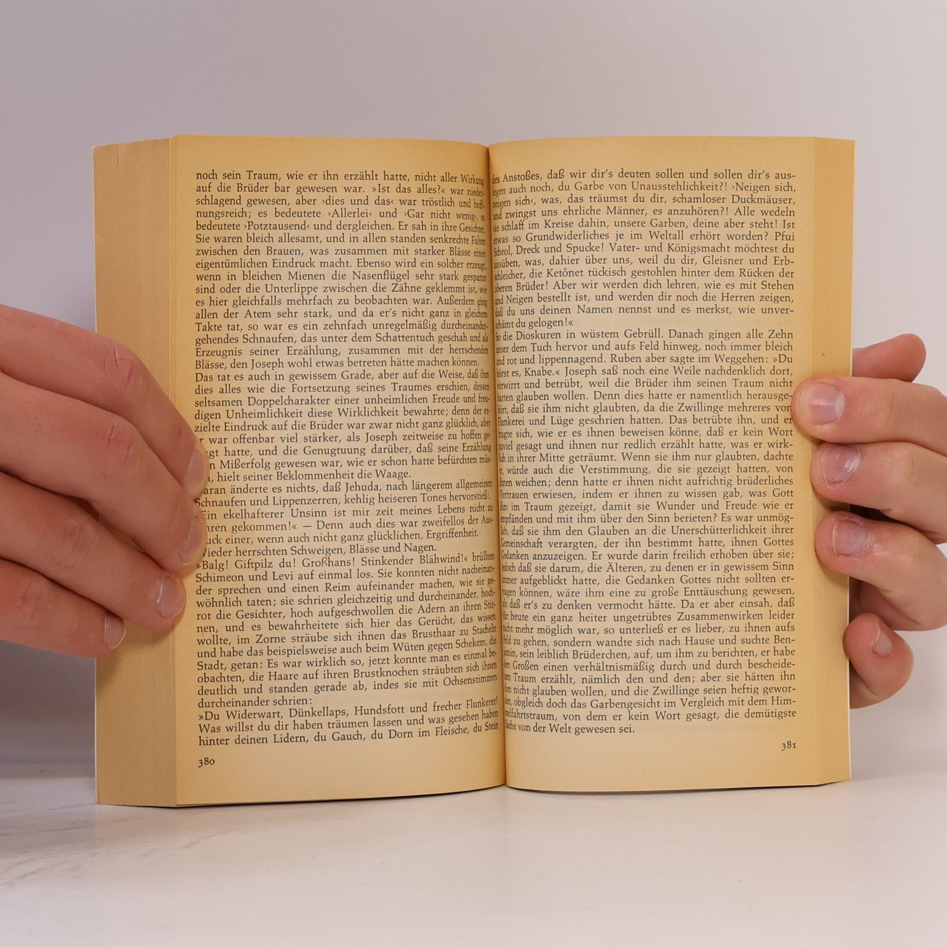 Thomas Mann Joseph und seine Brüder 1